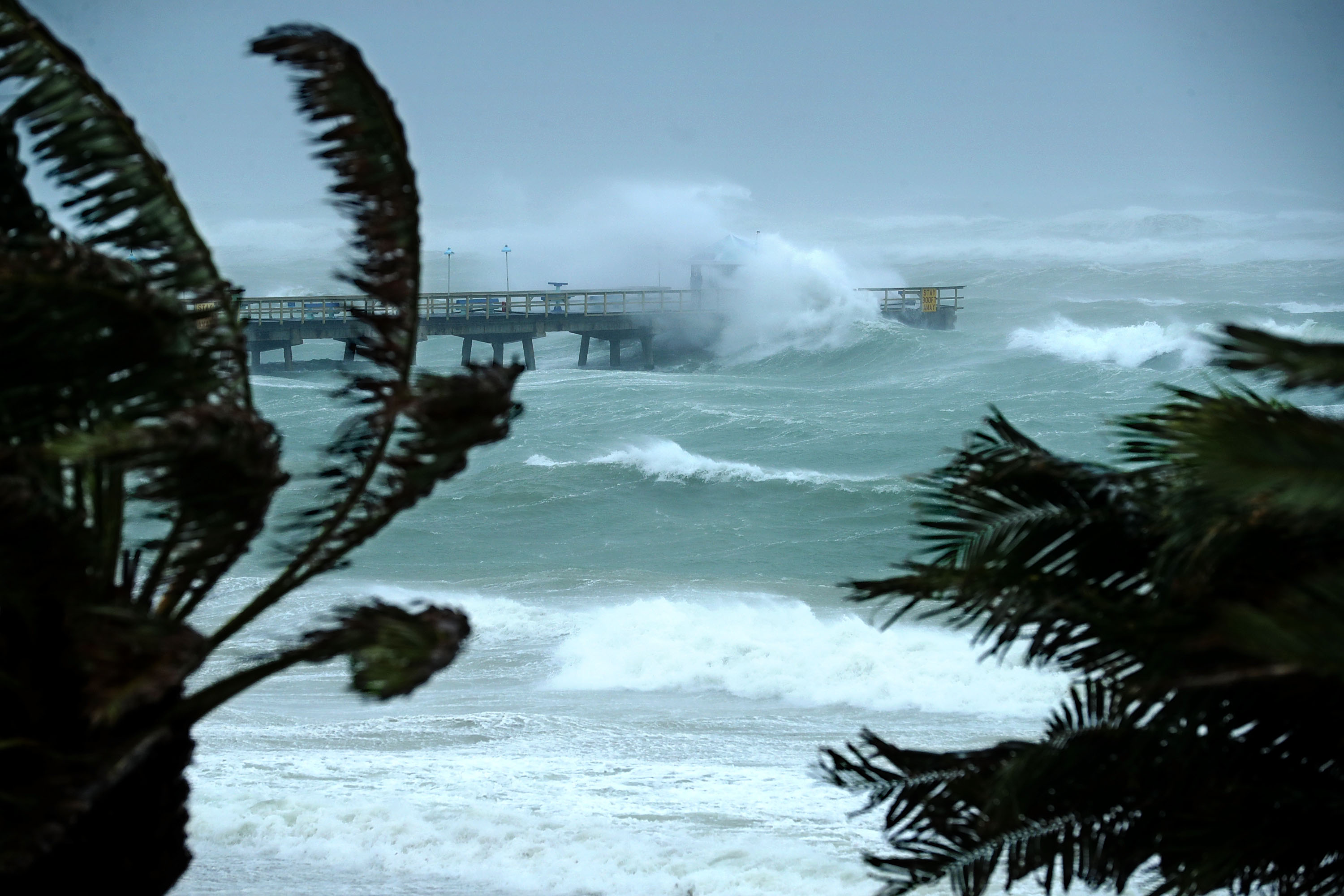 Florida Residents Told to Not Go Into the Ocean