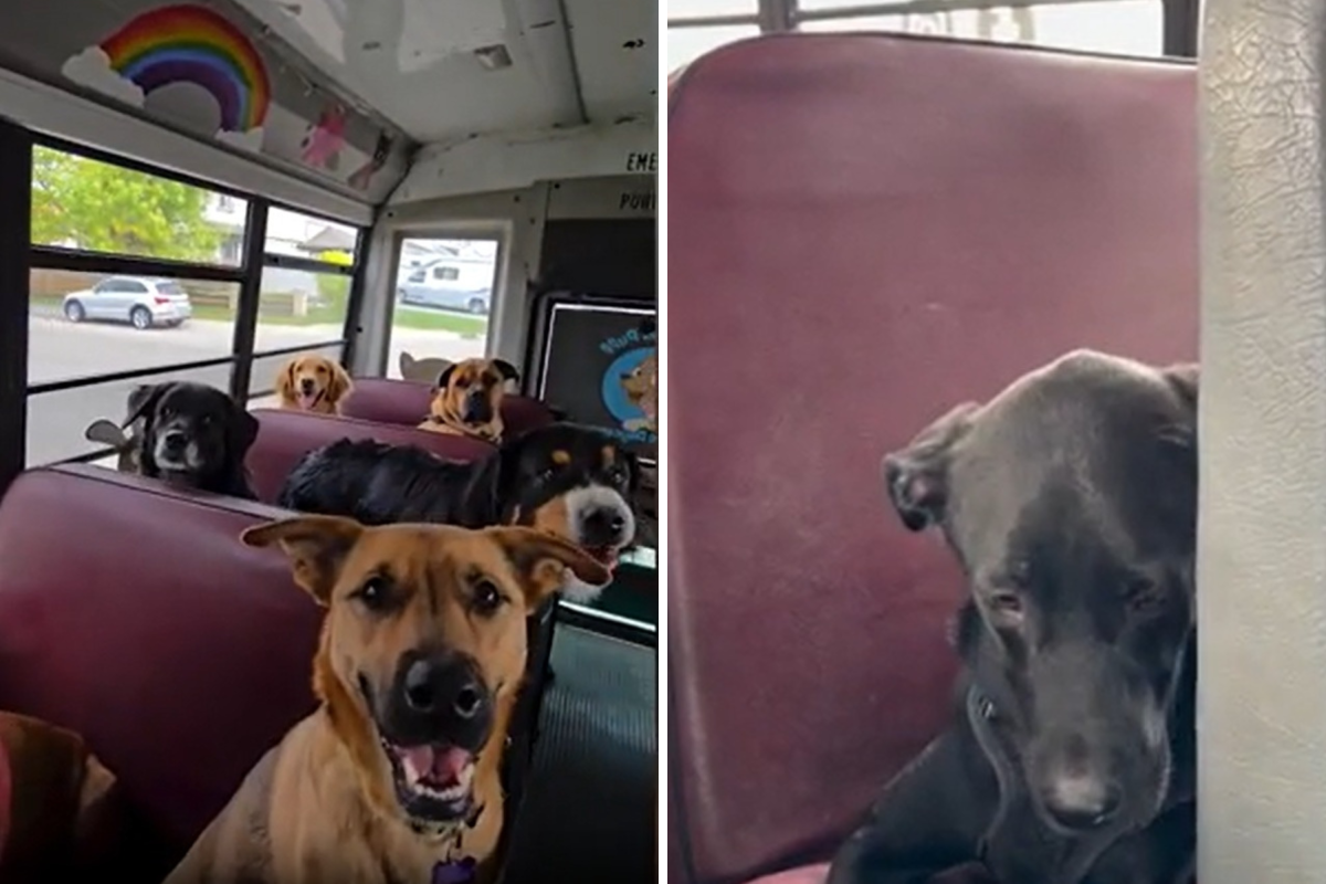 Before/after
