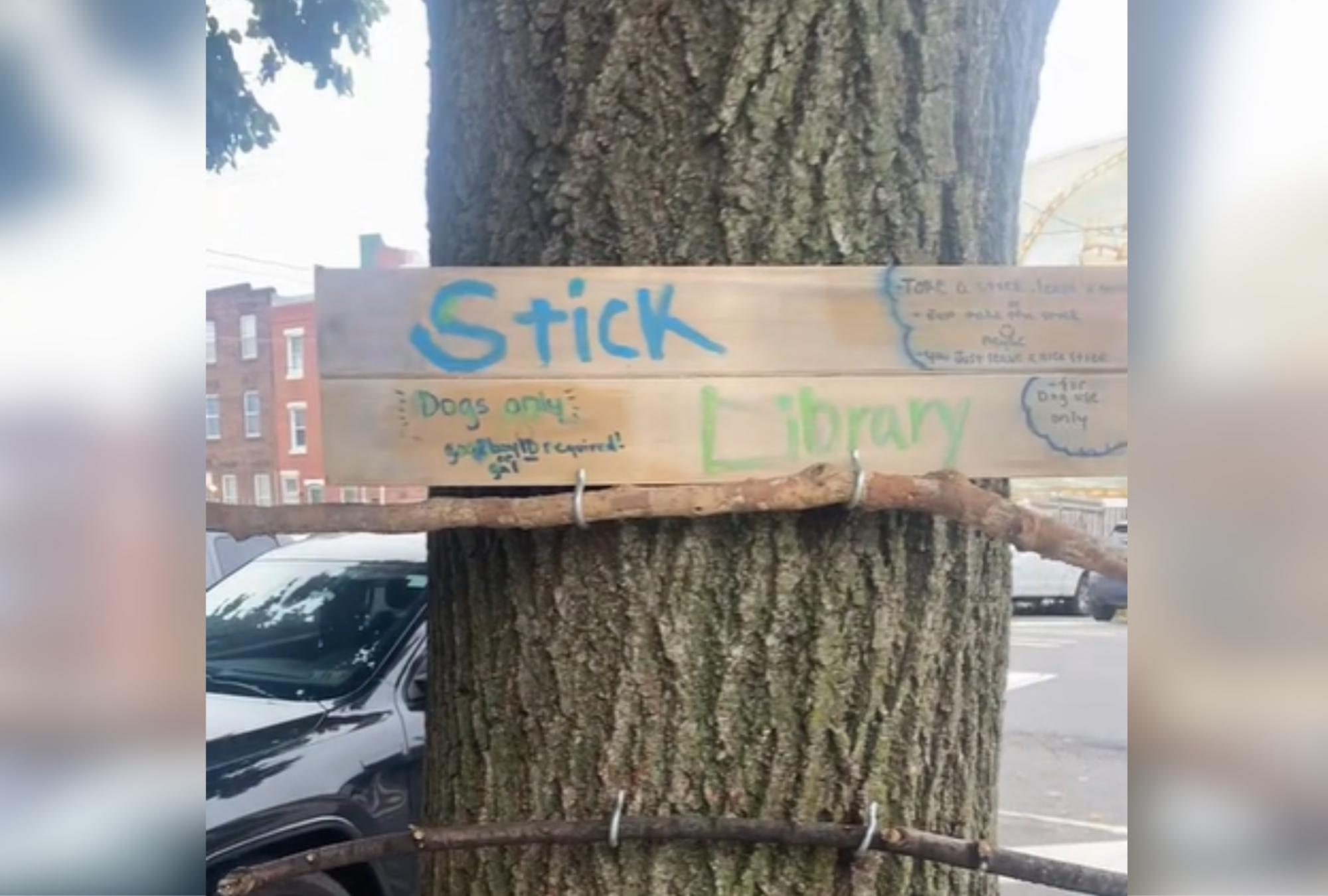 “Dog’s Delight: City Launches ‘Stick Library’ That Has Everyone Talking”