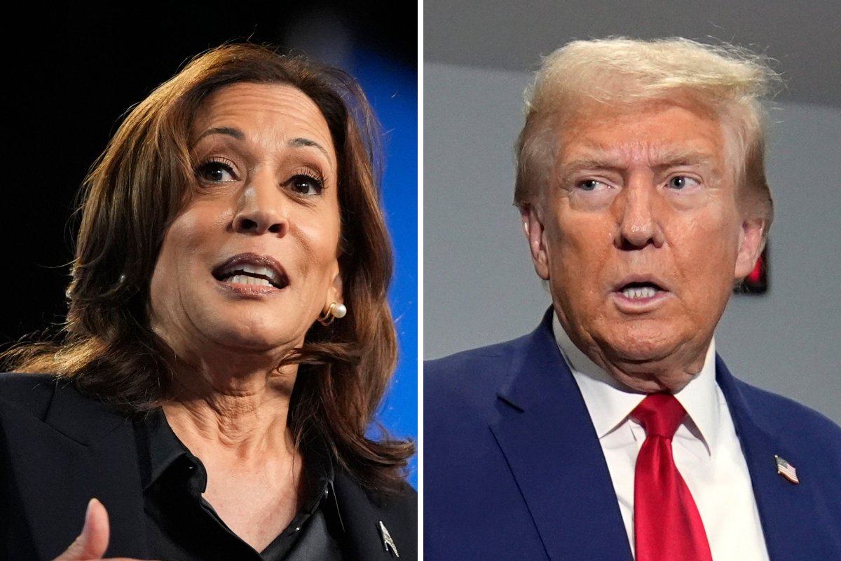 Trump Harris