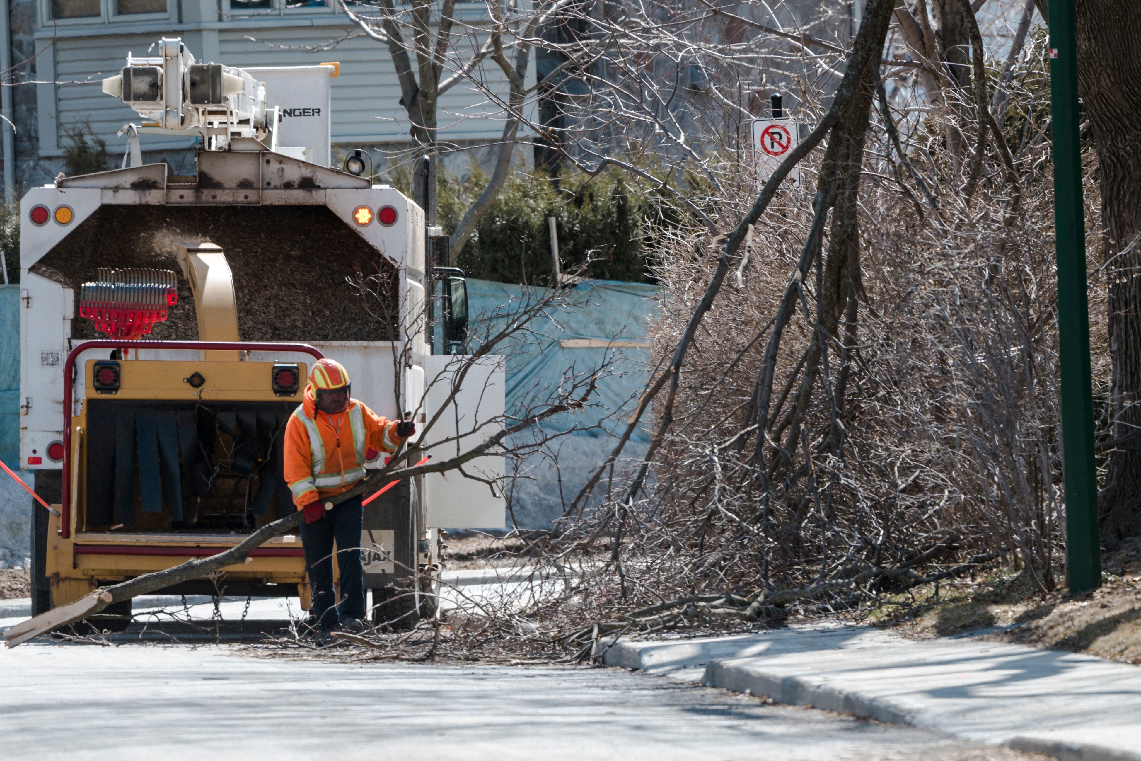 Man Loses Both Legs in Wood Chipper Accident