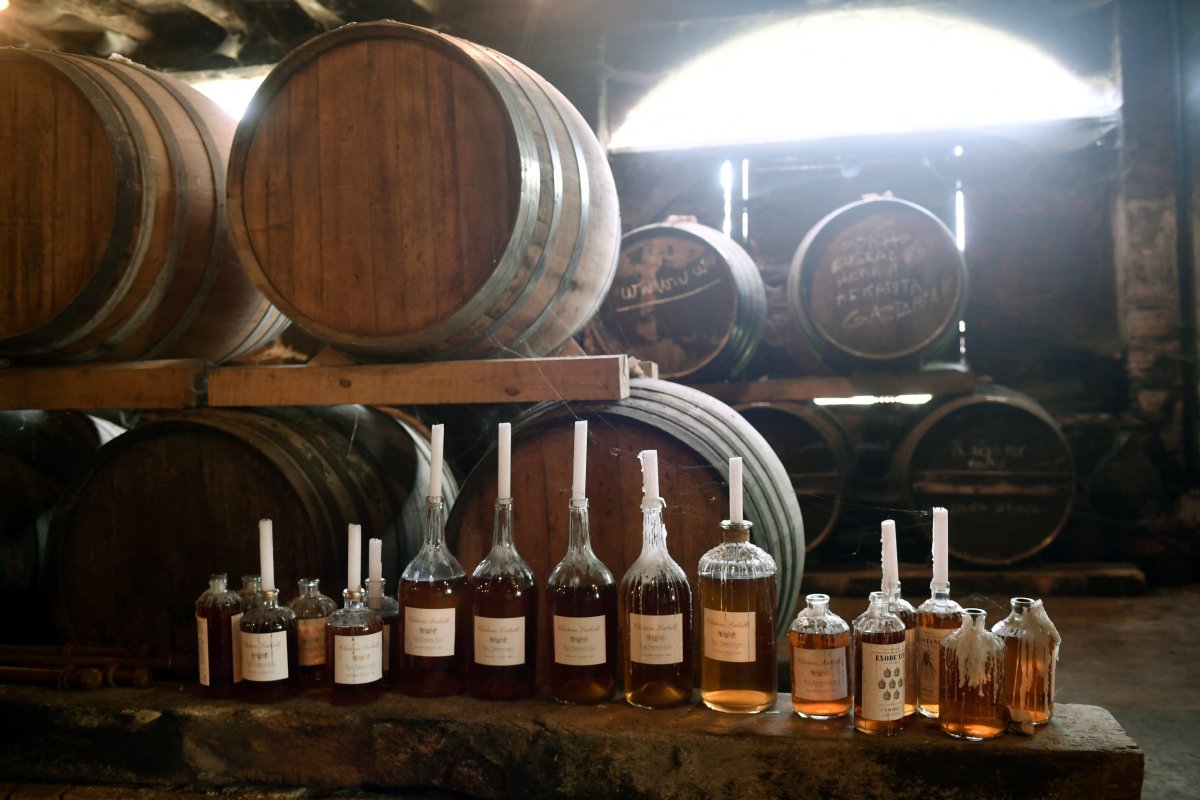 Brandy in Cellar in Parleboscq, France