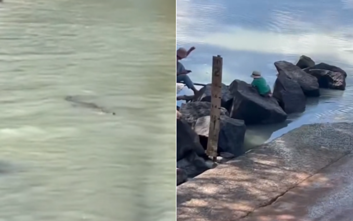 Chilling Video Shows Kids Playing by River Full of Crocodiles