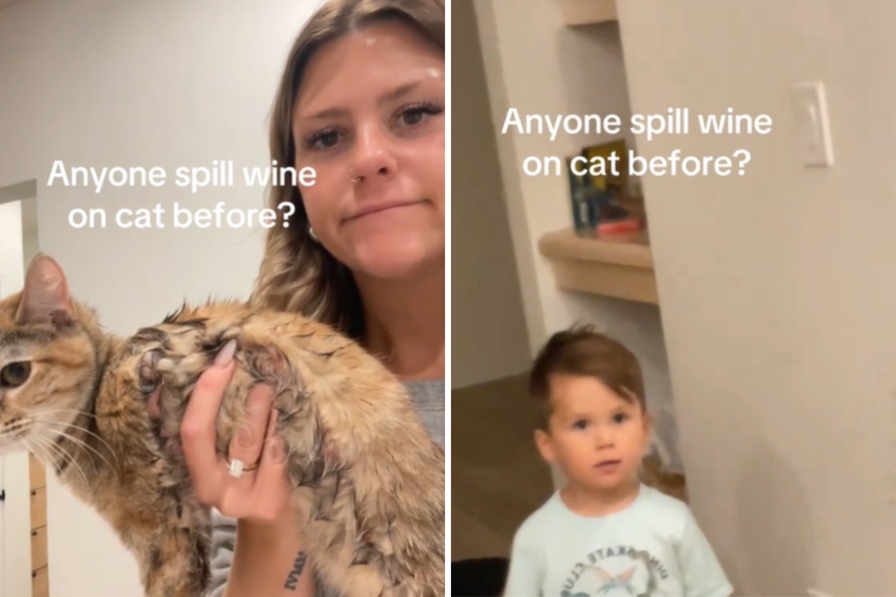 Mom Spills Red Wine on Family Cat, Little Boy Makes Feelings Known