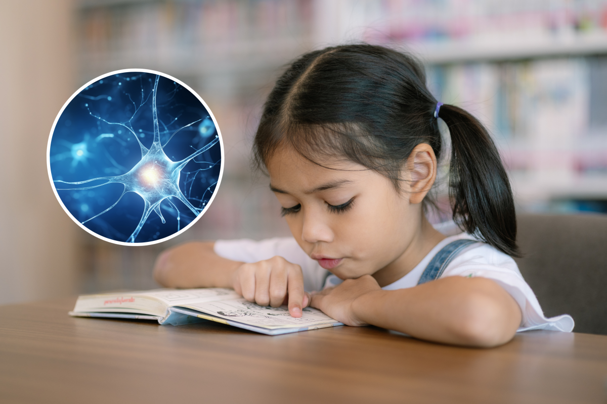 Neurons other in kids with autism, learn about unearths