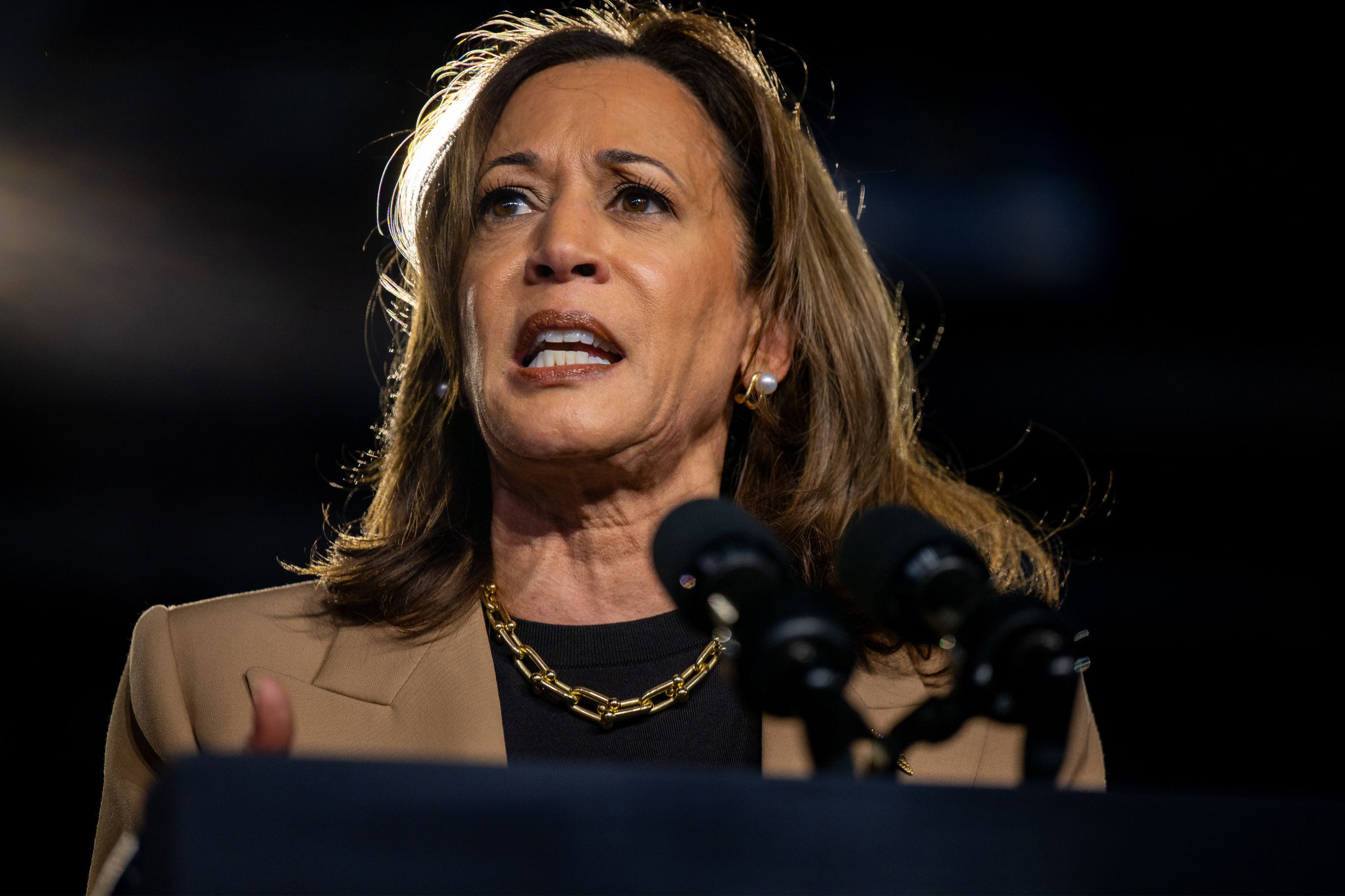 kamala-harris-gets-lackluster-support-among-black-voters-in-new-poll