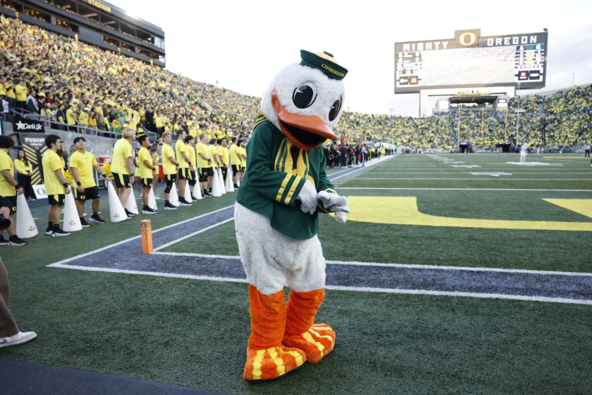 Oregon duck