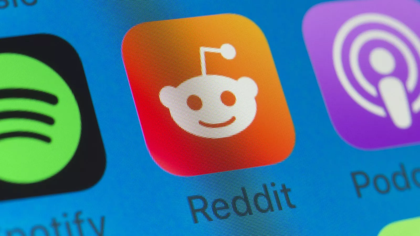 Is Reddit Down? User Outage Reports Surge Across US - Newsweek - Newsweek