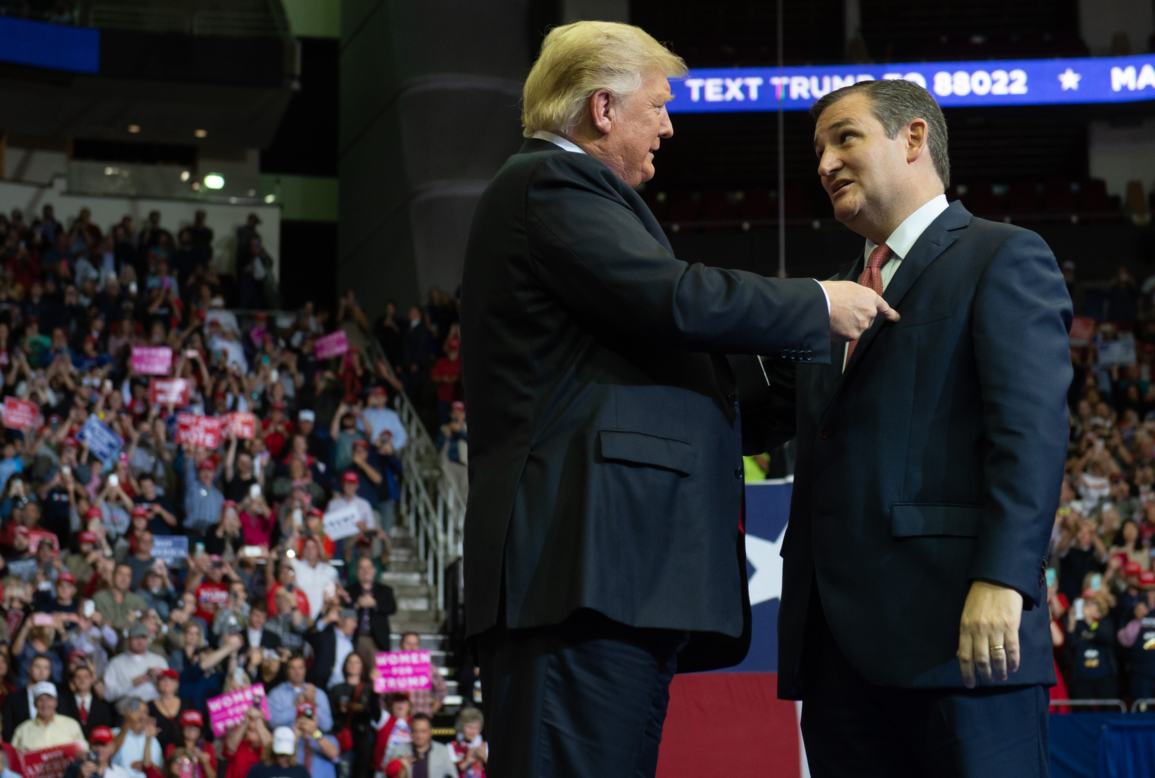 Donald Trump Steps In To Help Ted Cruz in Close Senate Race - Newsweek