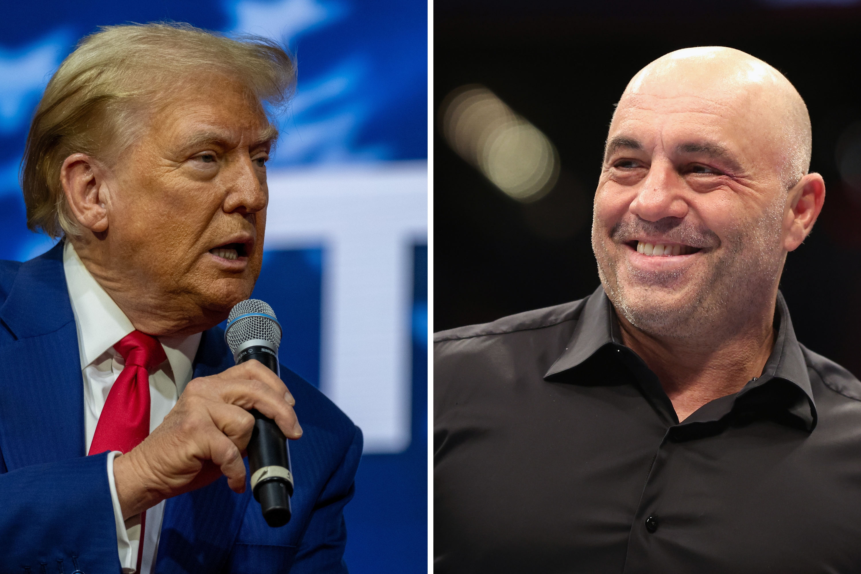 Everything Joe Rogan Has Said About Donald Trump - Newsweek