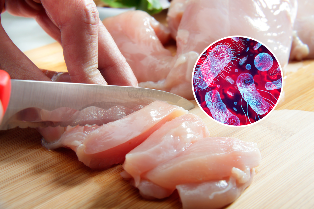 Man's hand cutting chicken fillet, and bacteria