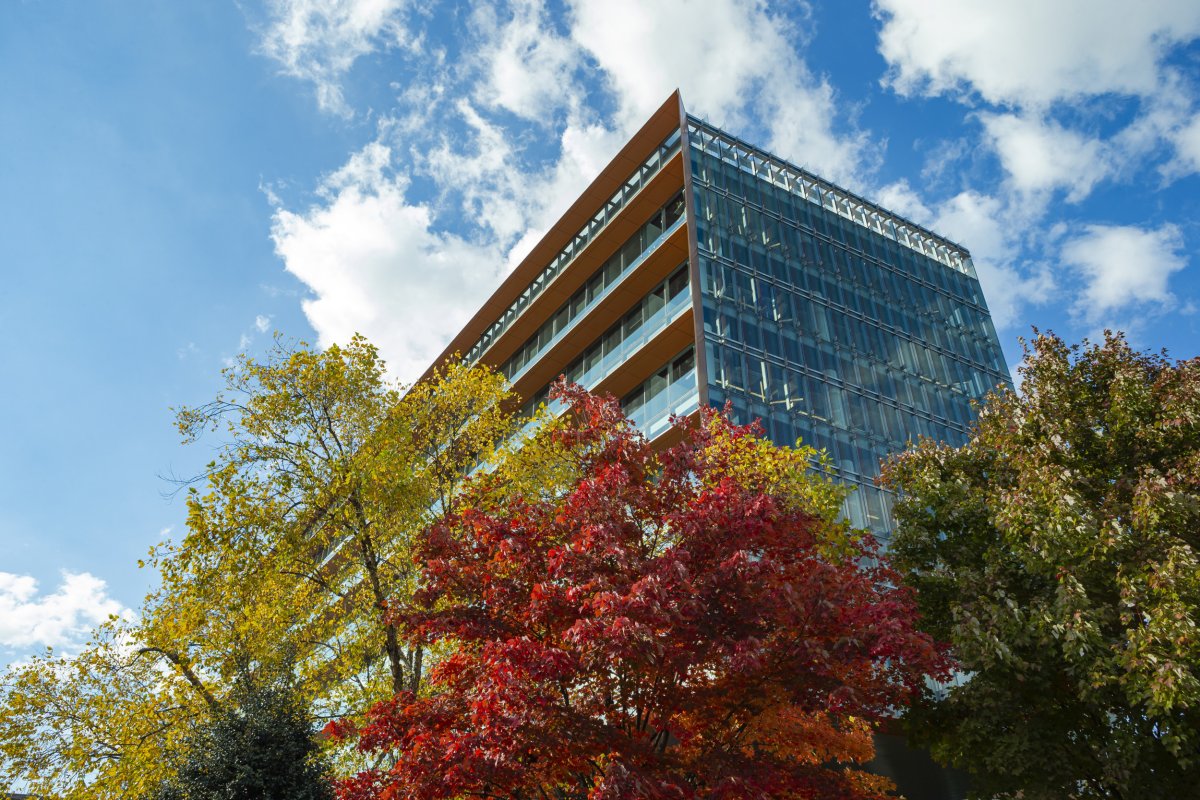 UMD