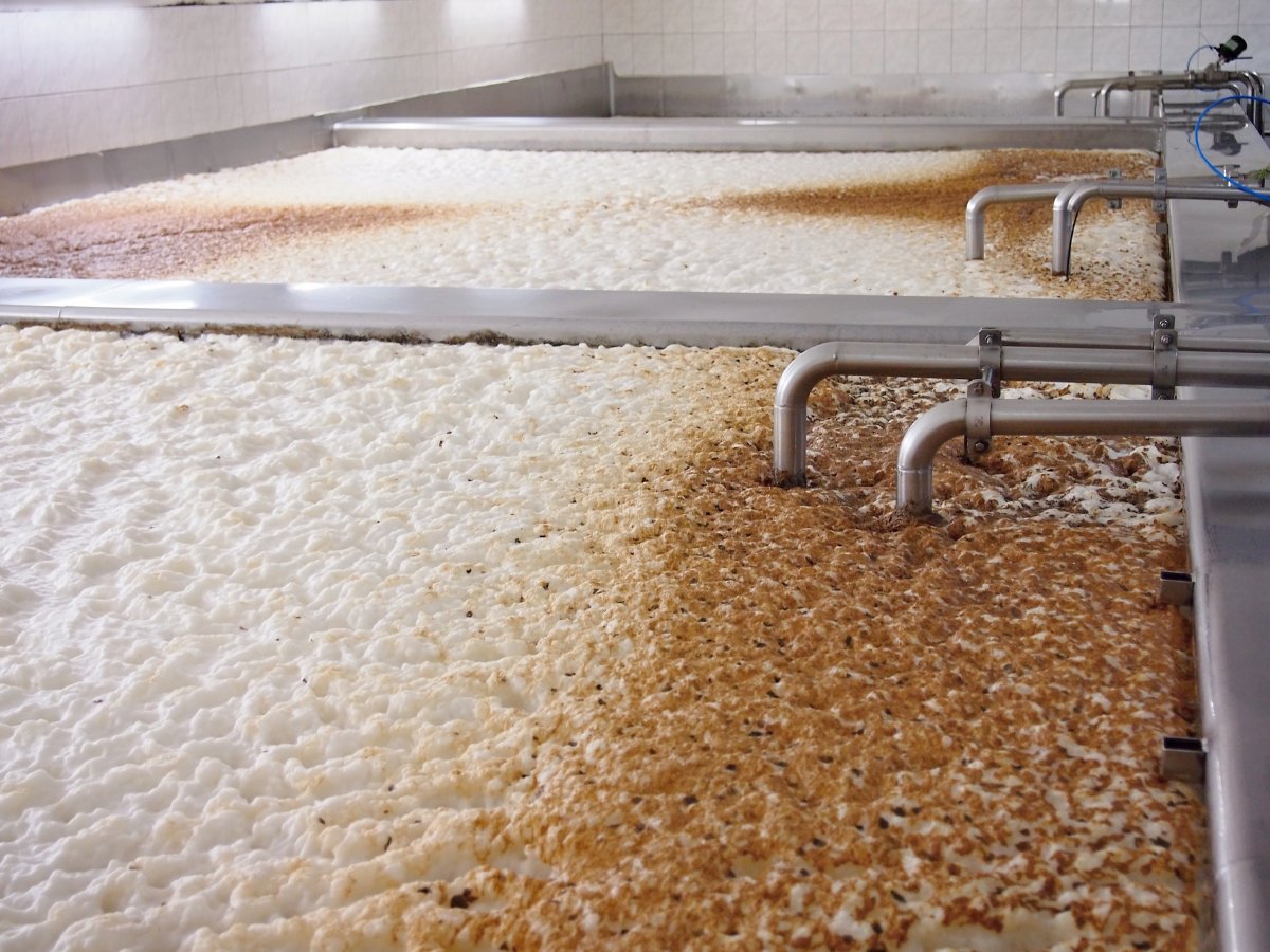 Beer fermenting in a brewery