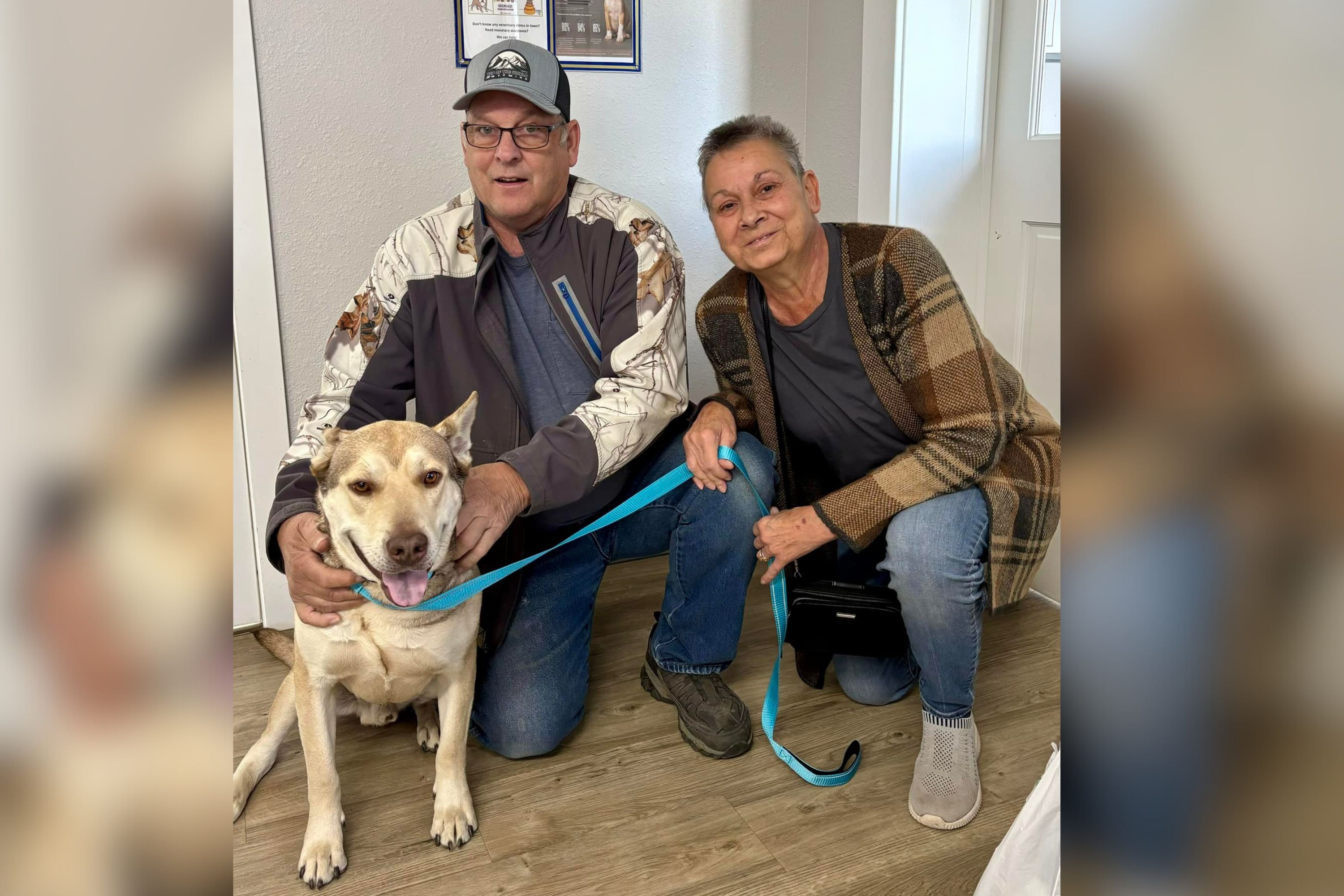 Dog Rescued From Home After Owner Died Adopted on the Spot by New