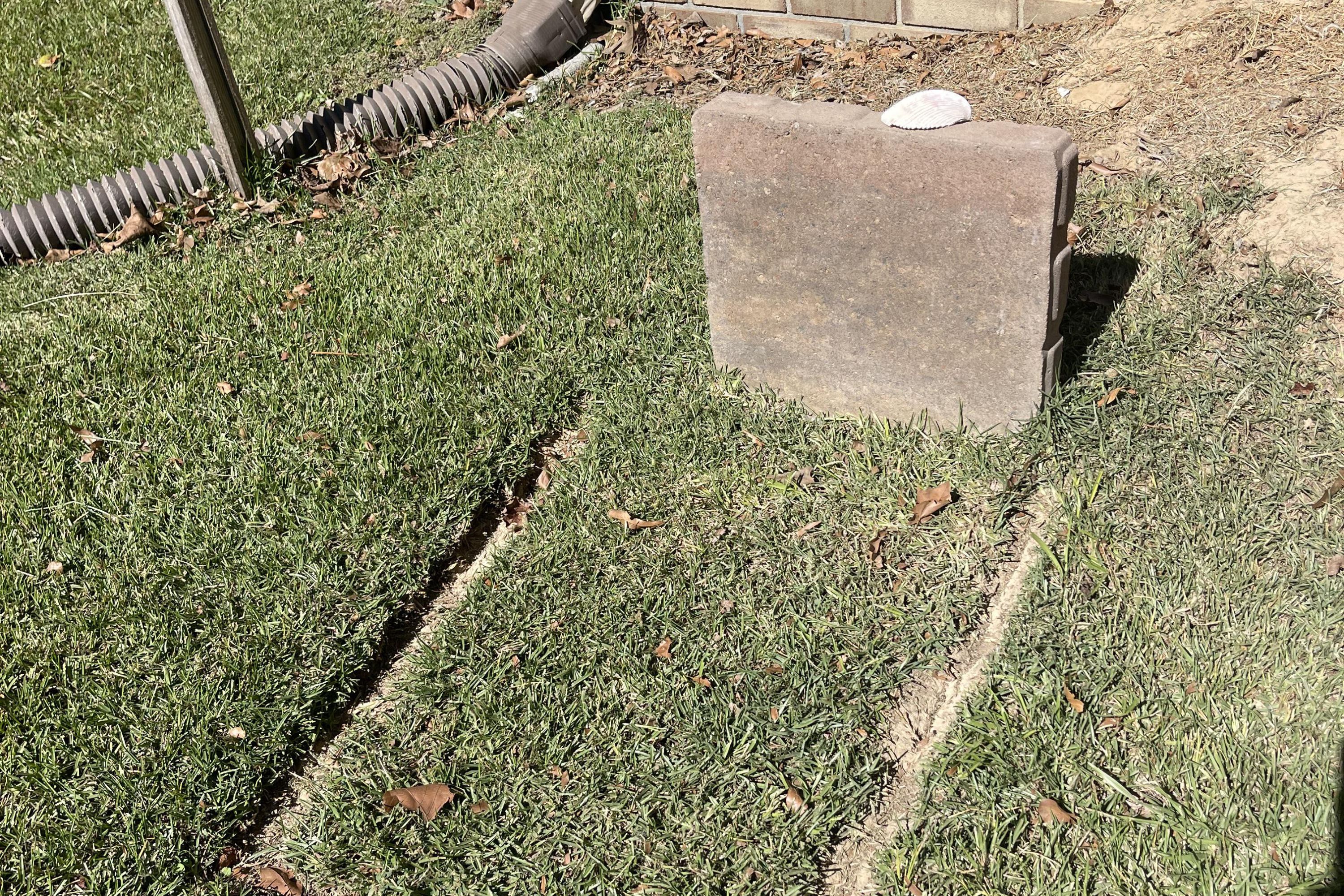 Lawn Workers' Gesture on Cat's Grave Melts Heart 'Paying His Respects