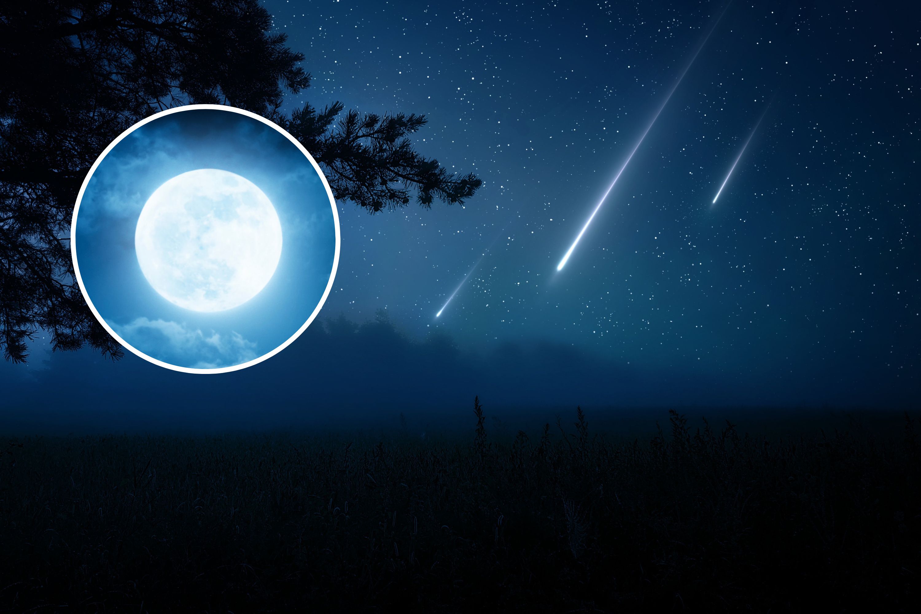 Orionid Meteor Shower Peak Next Week May Be Spoiled Newsweek