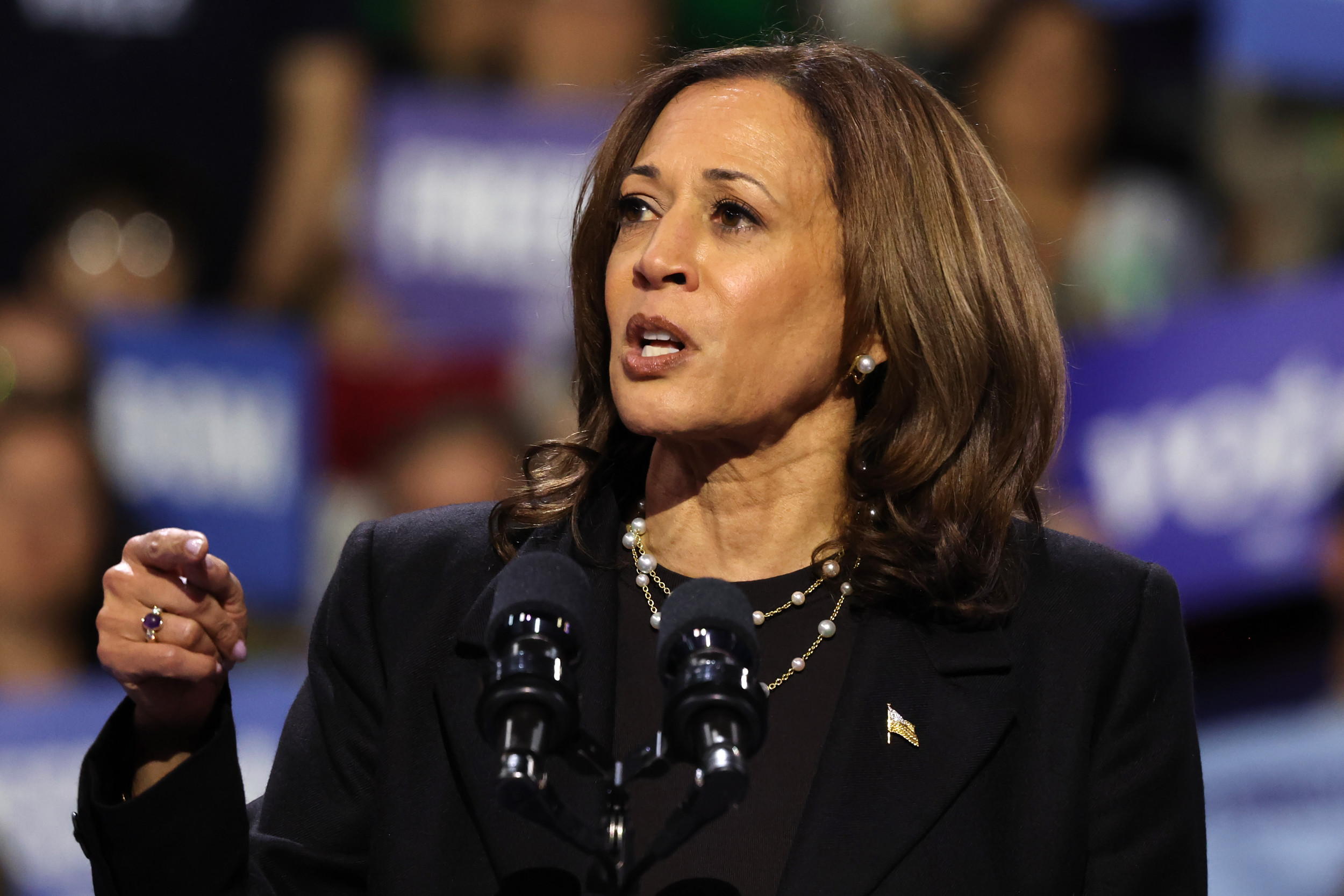 Final Message That Could Win Kamala Harris the Election: Poll