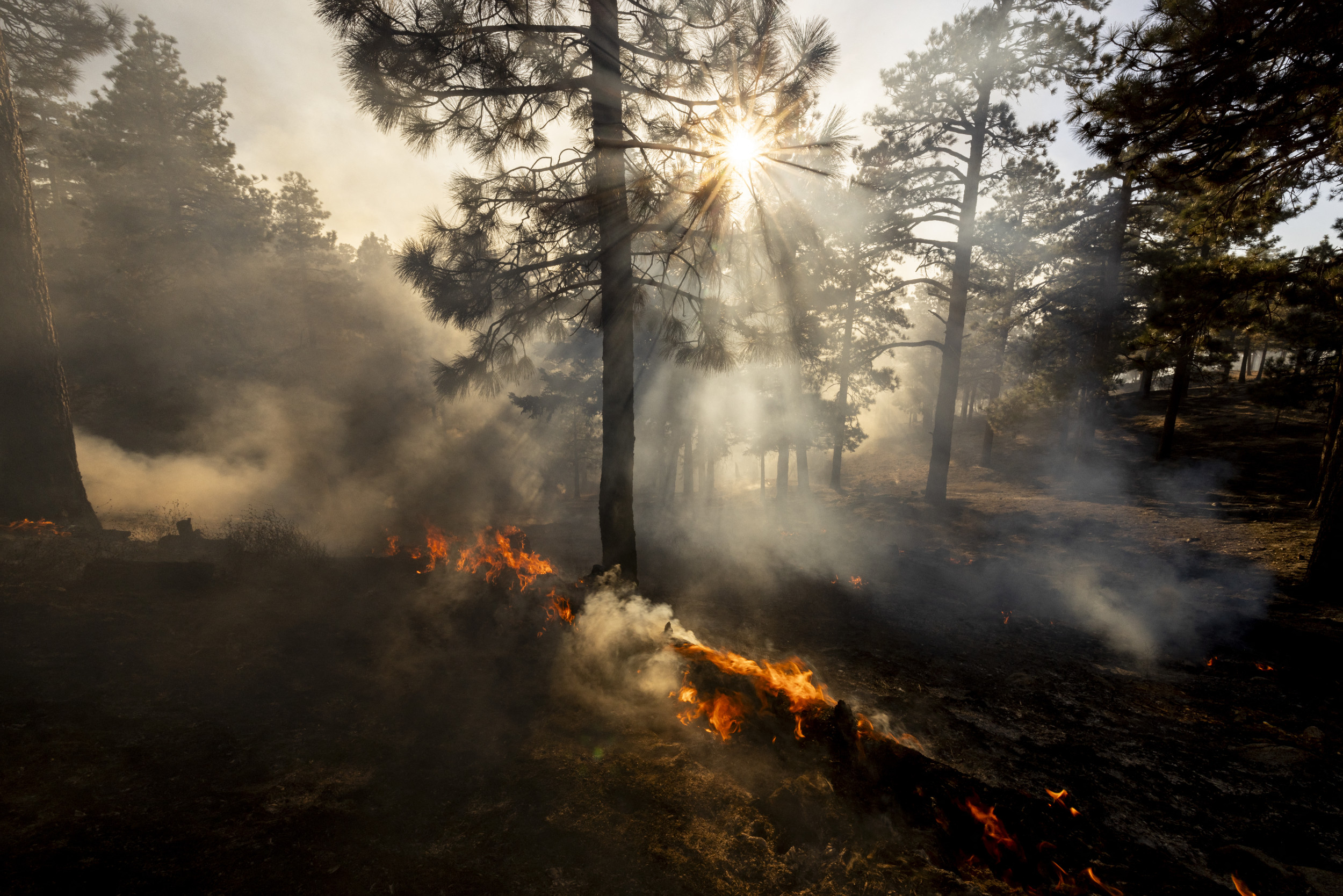 Oakland Hills Fire Nearly Engulfs Major Highway