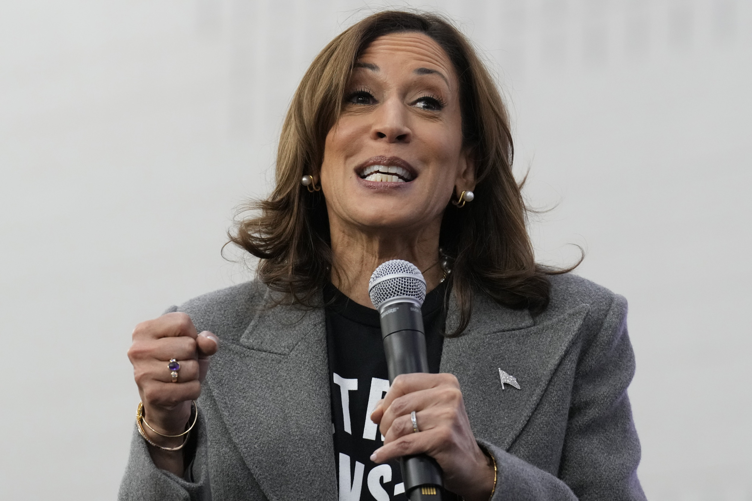 Lebanese Americans Endorse Harris as Others Criticize Biden Admin Amid War