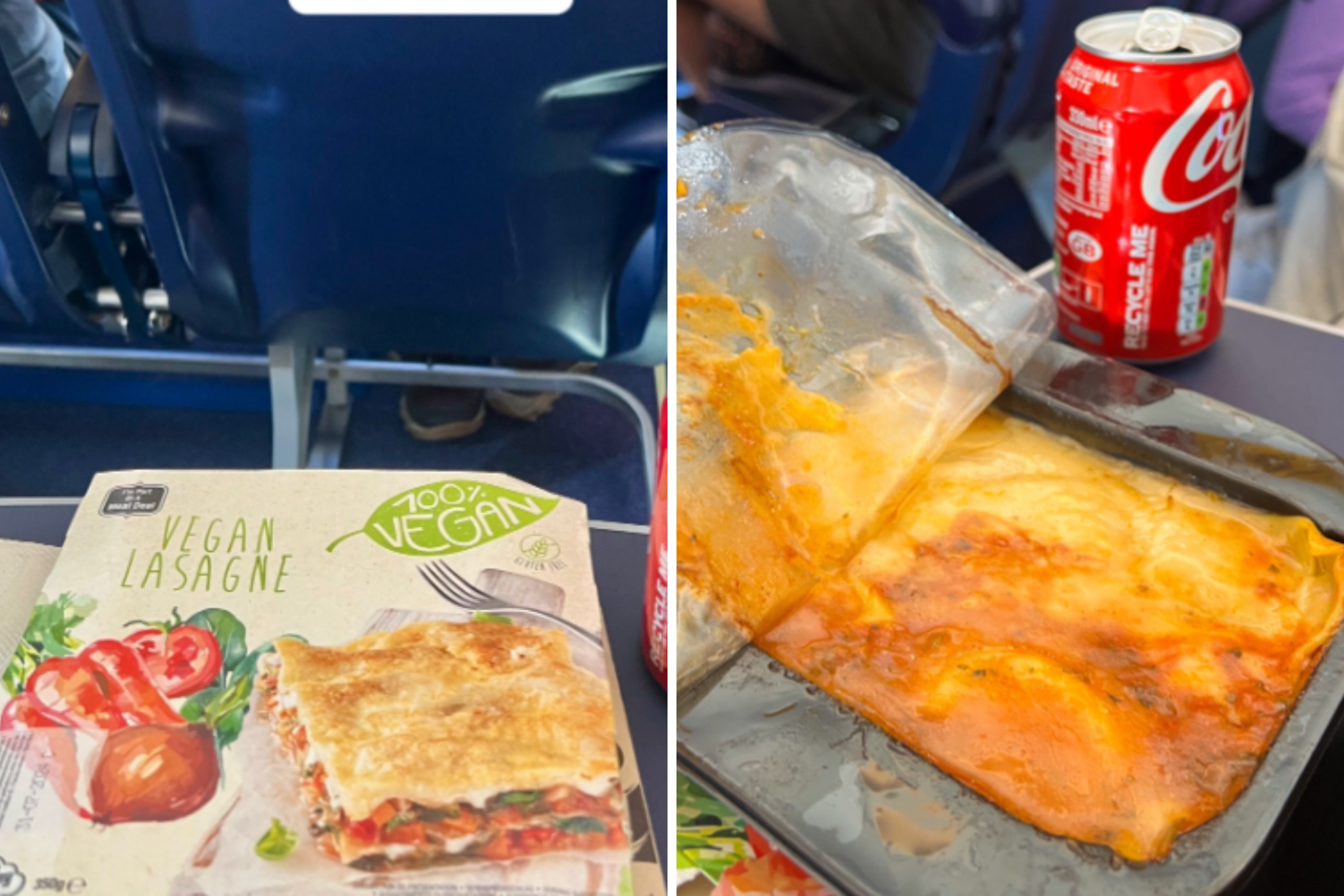 Passenger Stunned by In-Flight Meal Experience