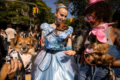 NYC Dog Parade Cinderella