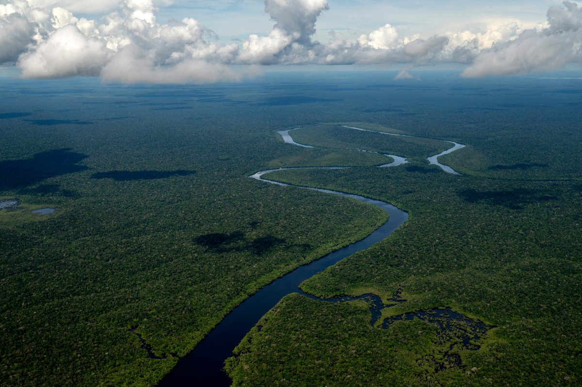 Aerial view of the Amazon rainforest