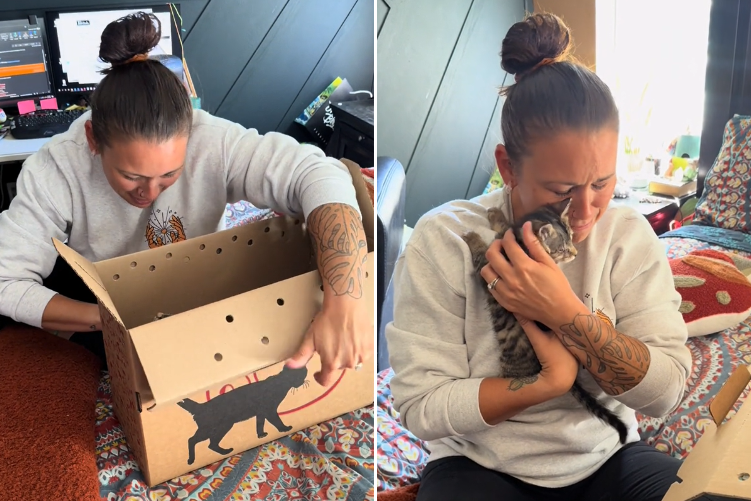 Moment Man Surprises Wife With One-Eyed Rescue Kitten—She Can't Say No