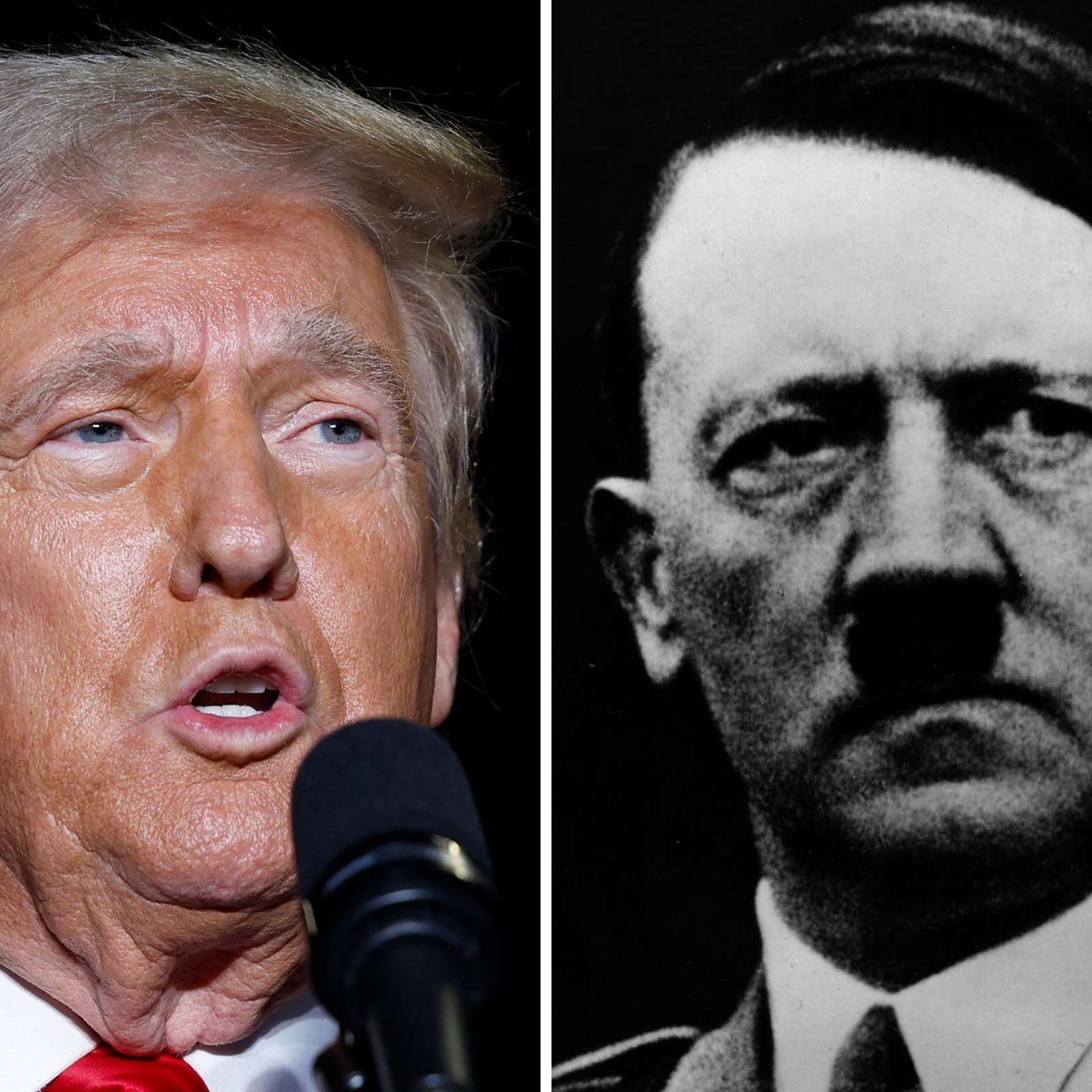 Hitler Motivational Quotes