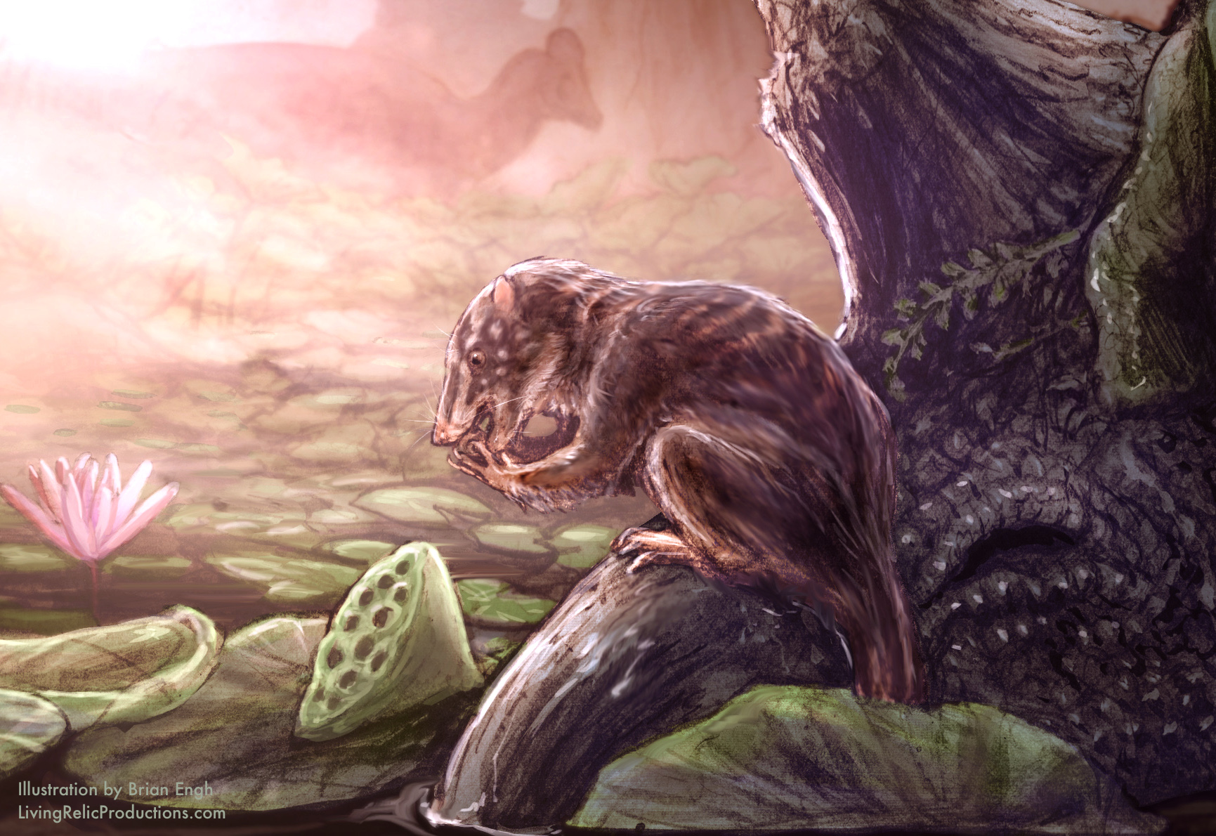 Ancient Swamp Creature from the Dinosaur Era Found in Colorado