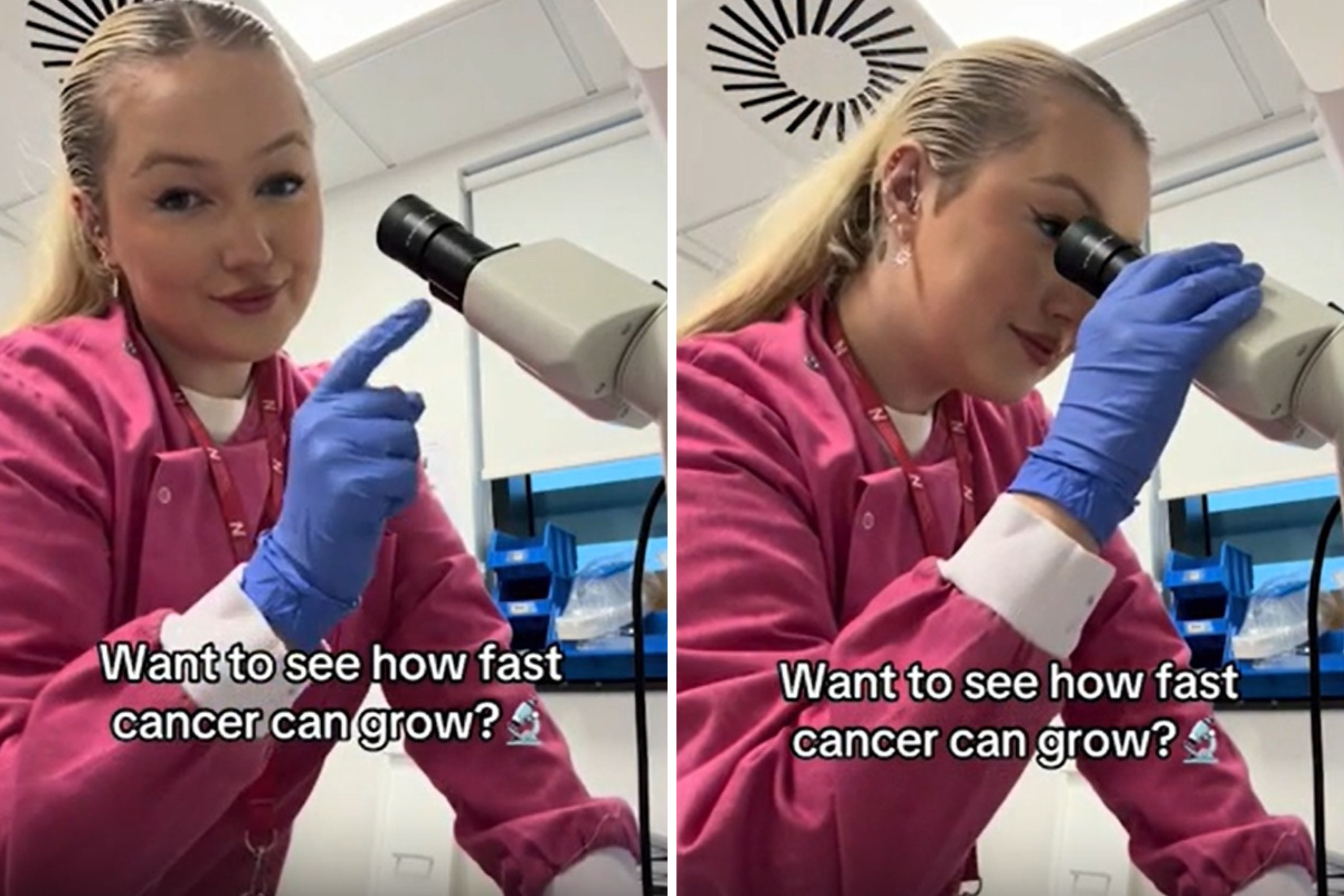 Oncology Student Shows How Fast Cancer Can Grow Under a Microscope - Newsweek