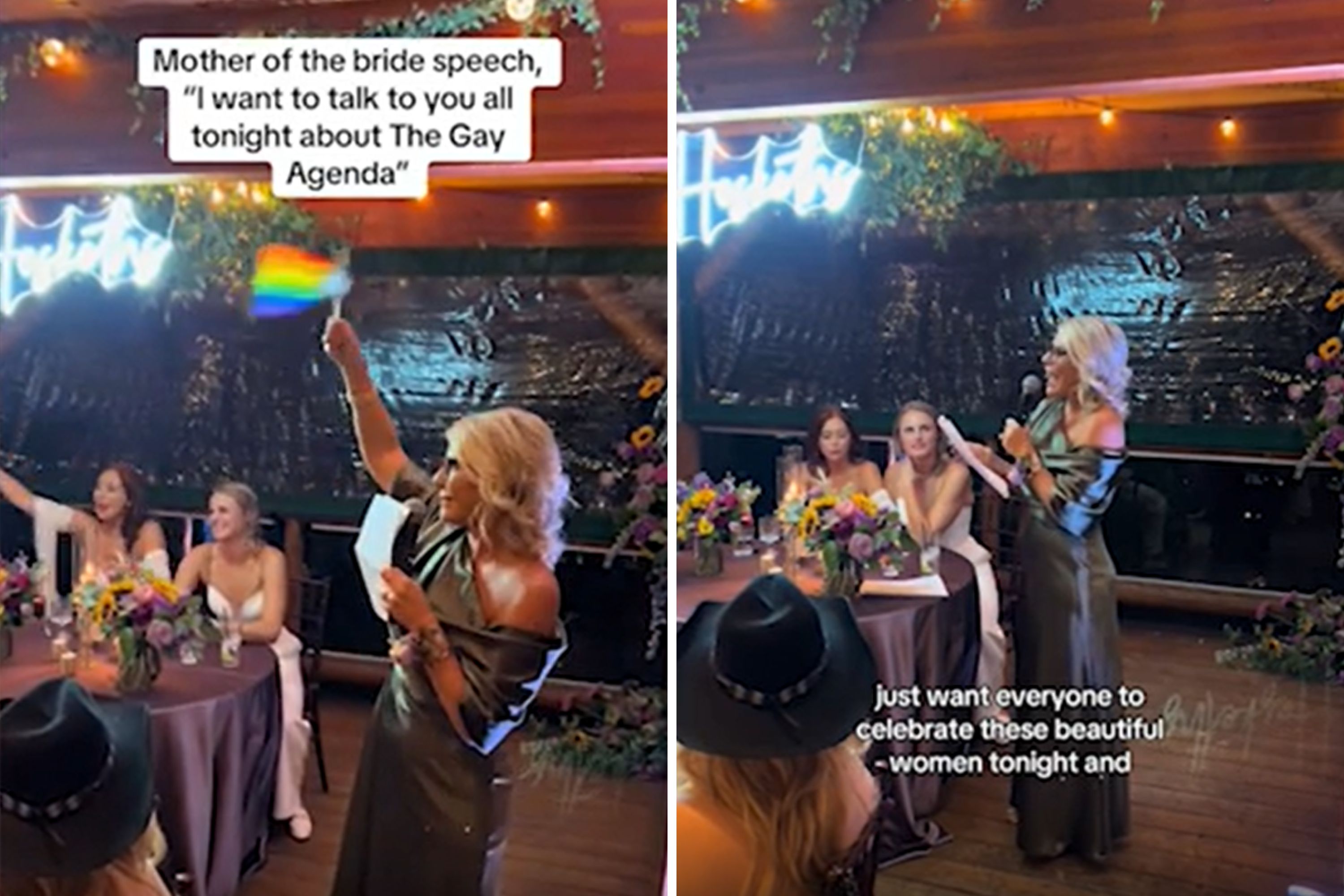 Bride's Mom's Wedding Speech on 'The Gay Agenda' Leaves Guests Astounded