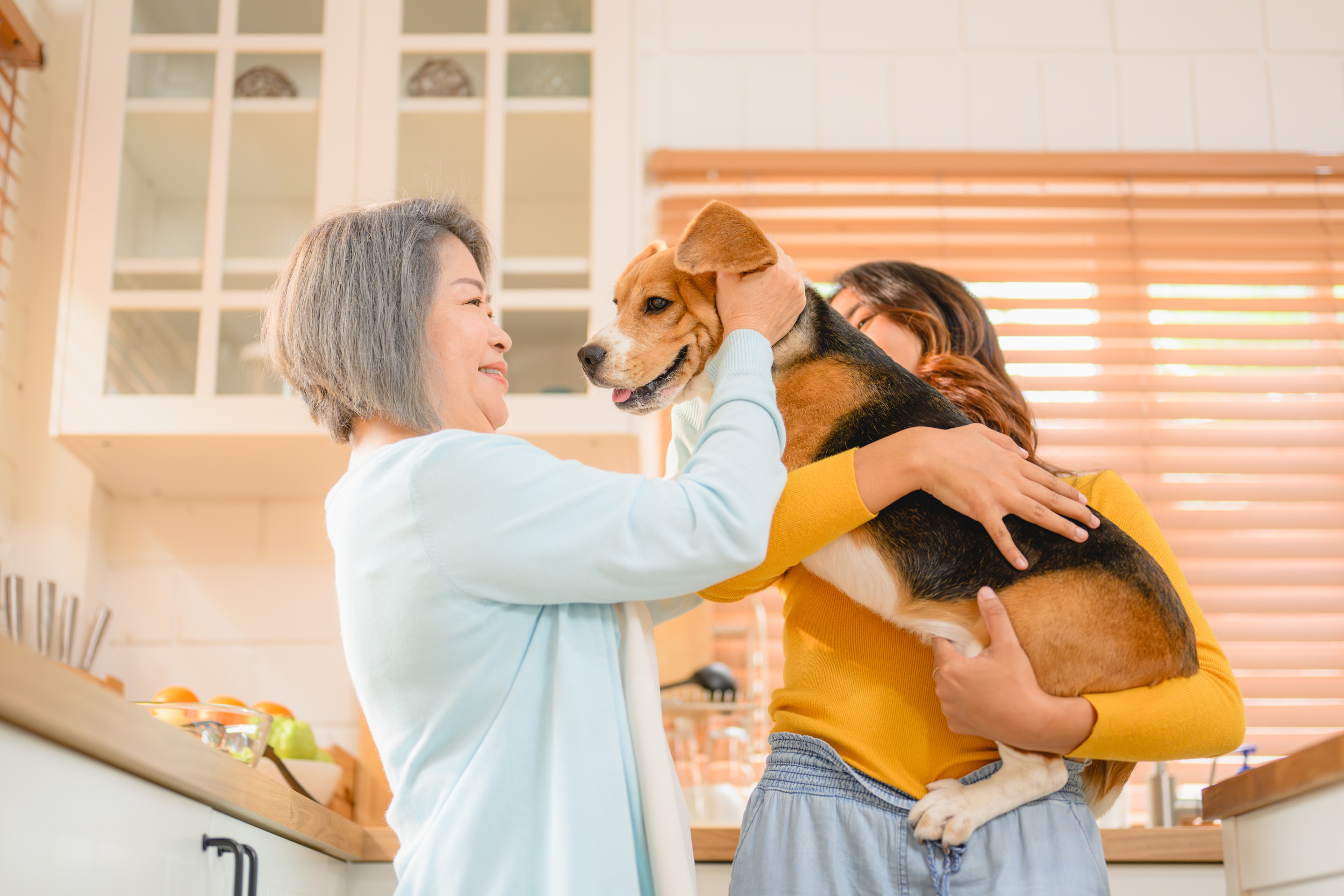 Grandma Gets Knock at Door, Her 'Dream' Comes True