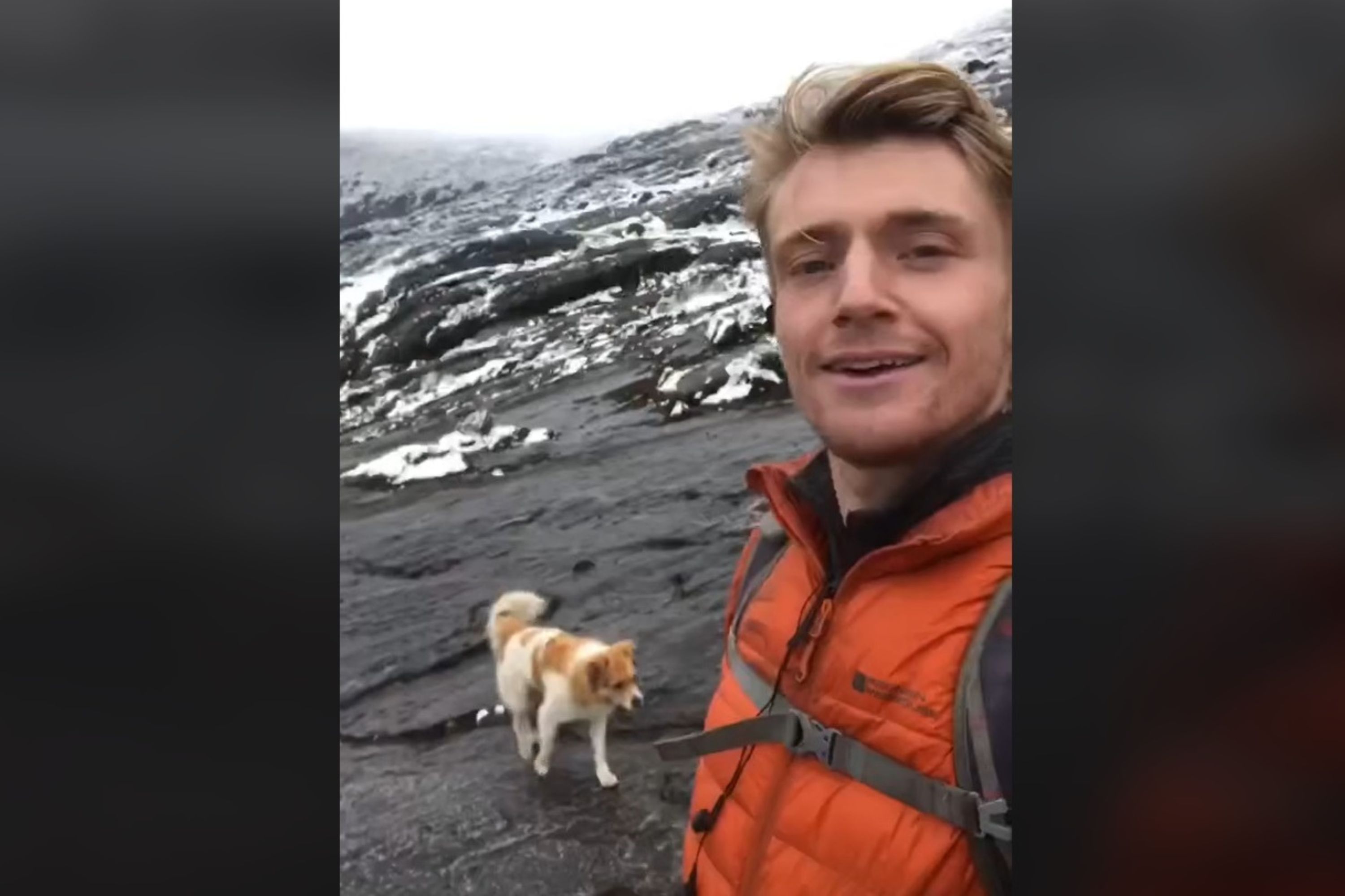 Photo: A screenshot from a TikTok video of a hiker who came across a dog. (@elgueroingles on TikTok) 