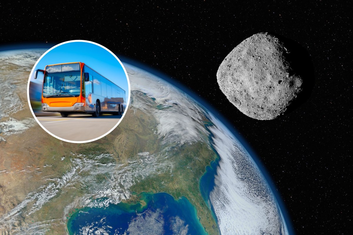 bus sized asteroid