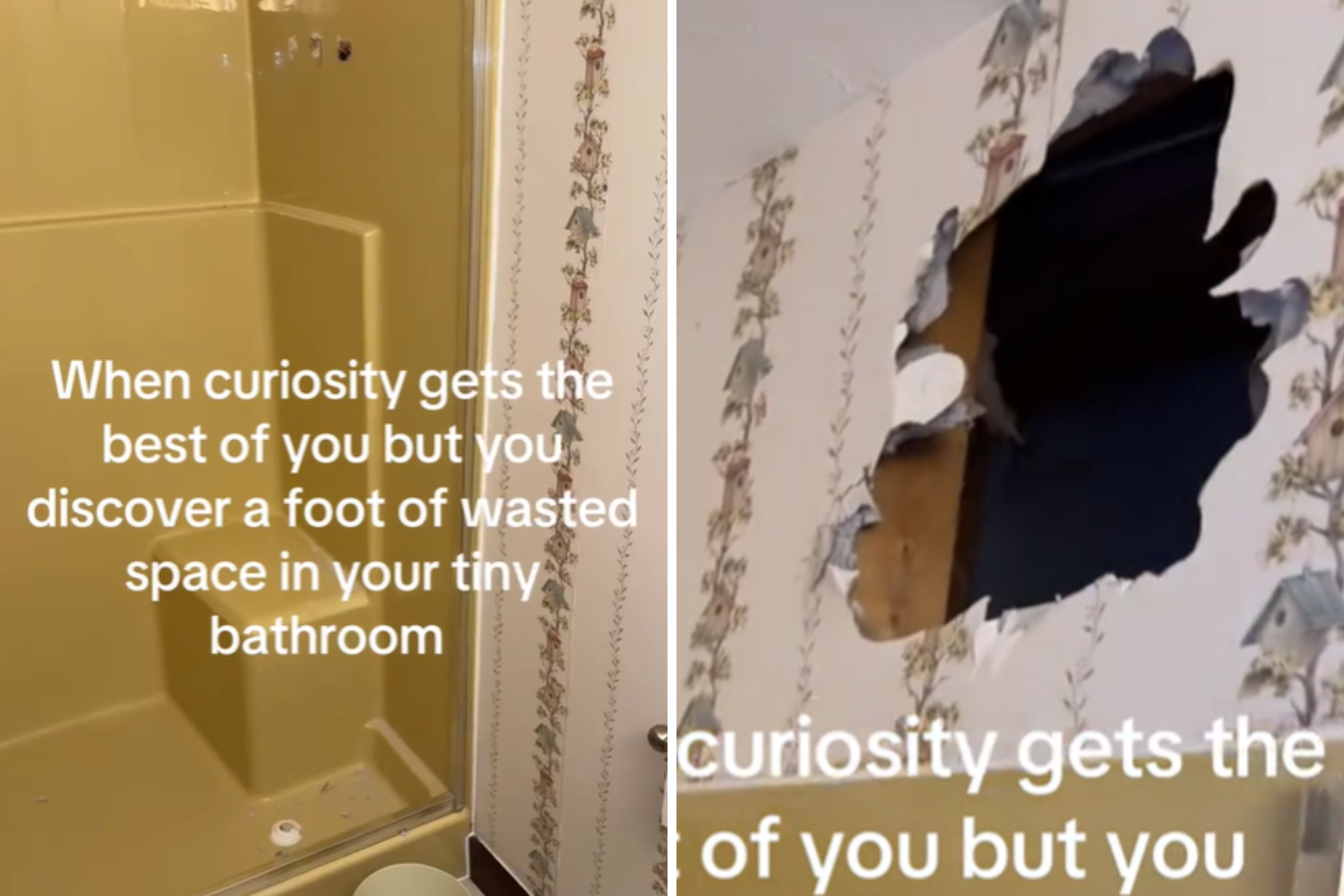 Shock As Woman Finds 'Bigger Bathroom' Behind Wall During Home