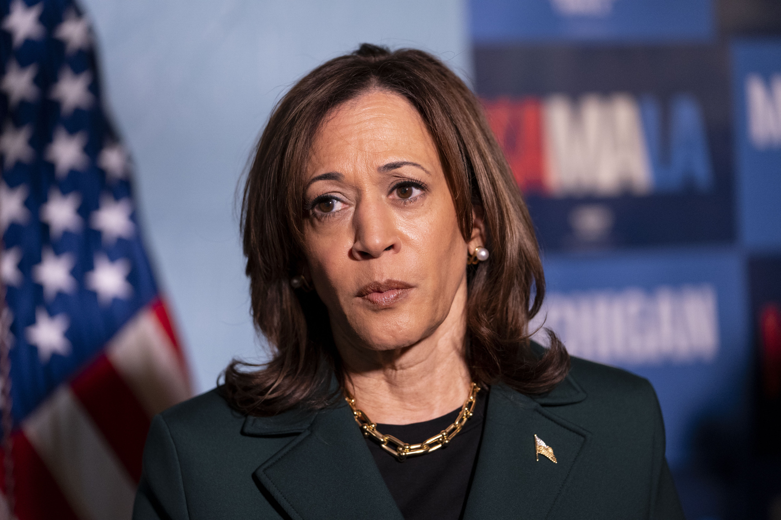 Will Undecided Voters Sway The Election For Kamala Harris? - Newsweek