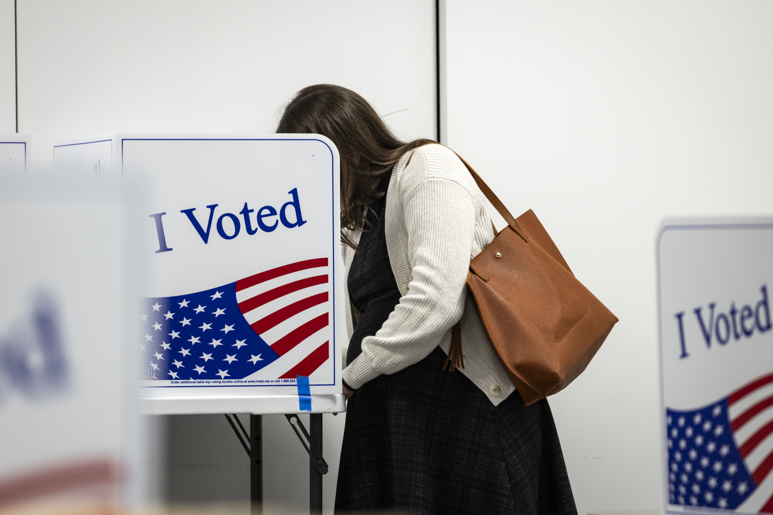 What Judge Patricia Giles’ Virginia voter roll pause means for the election