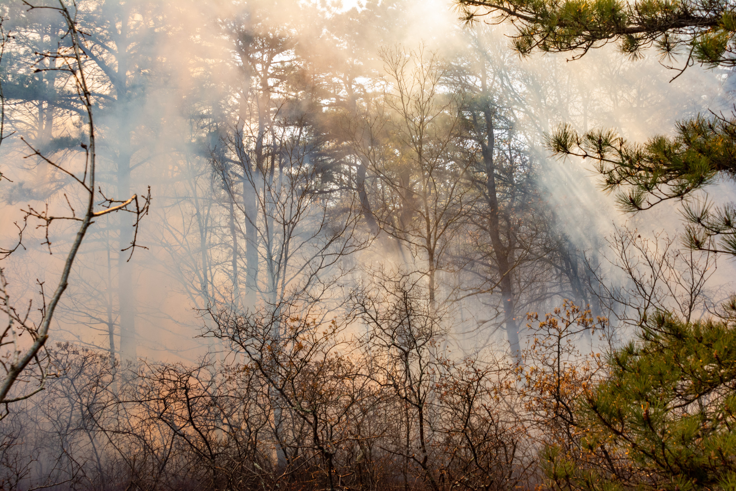 Nine states on the East Coast are warning of wildfires