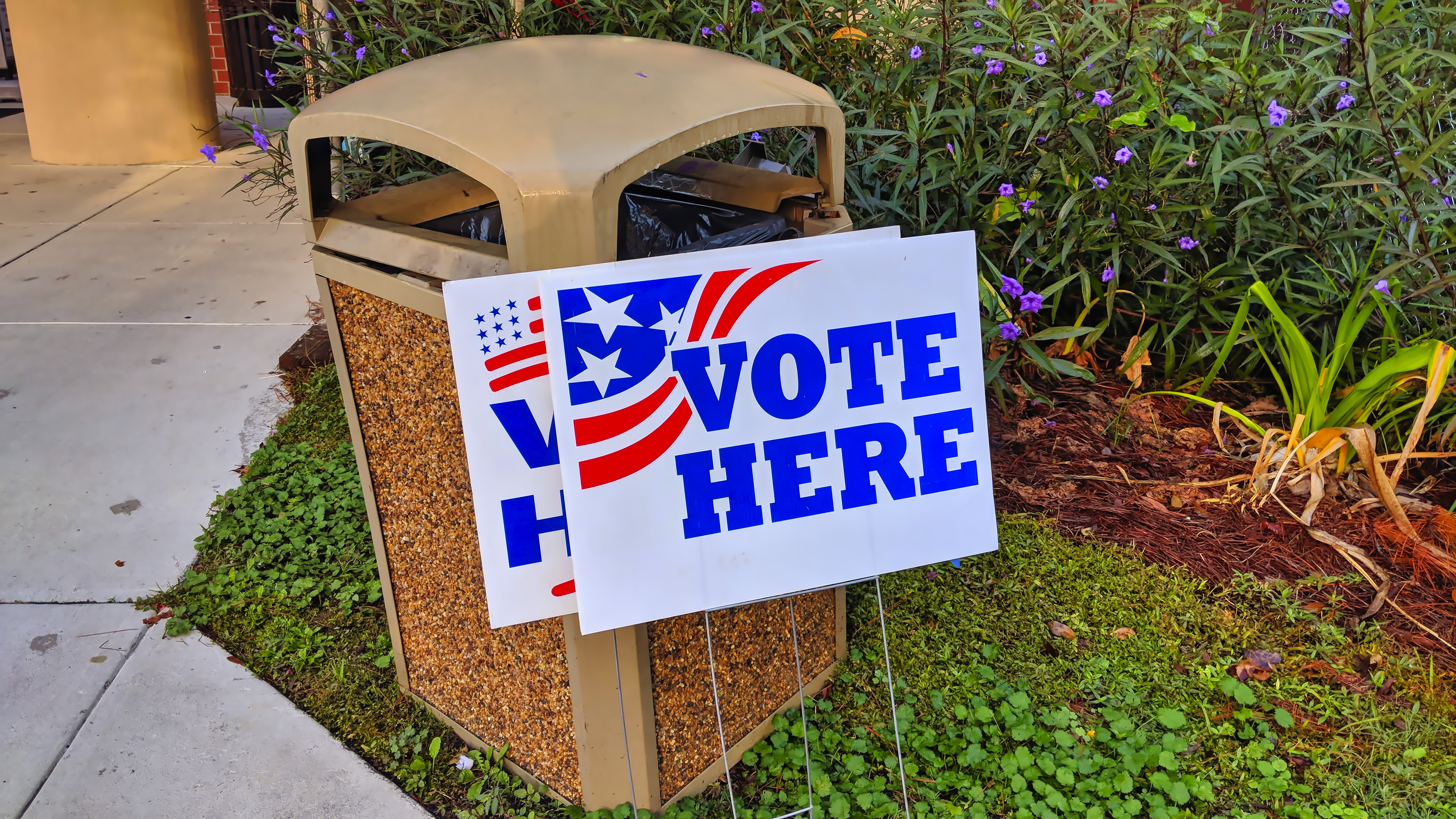 Florida Postal Worker Allegedly Discards Ballots and Election Mail in the Woods