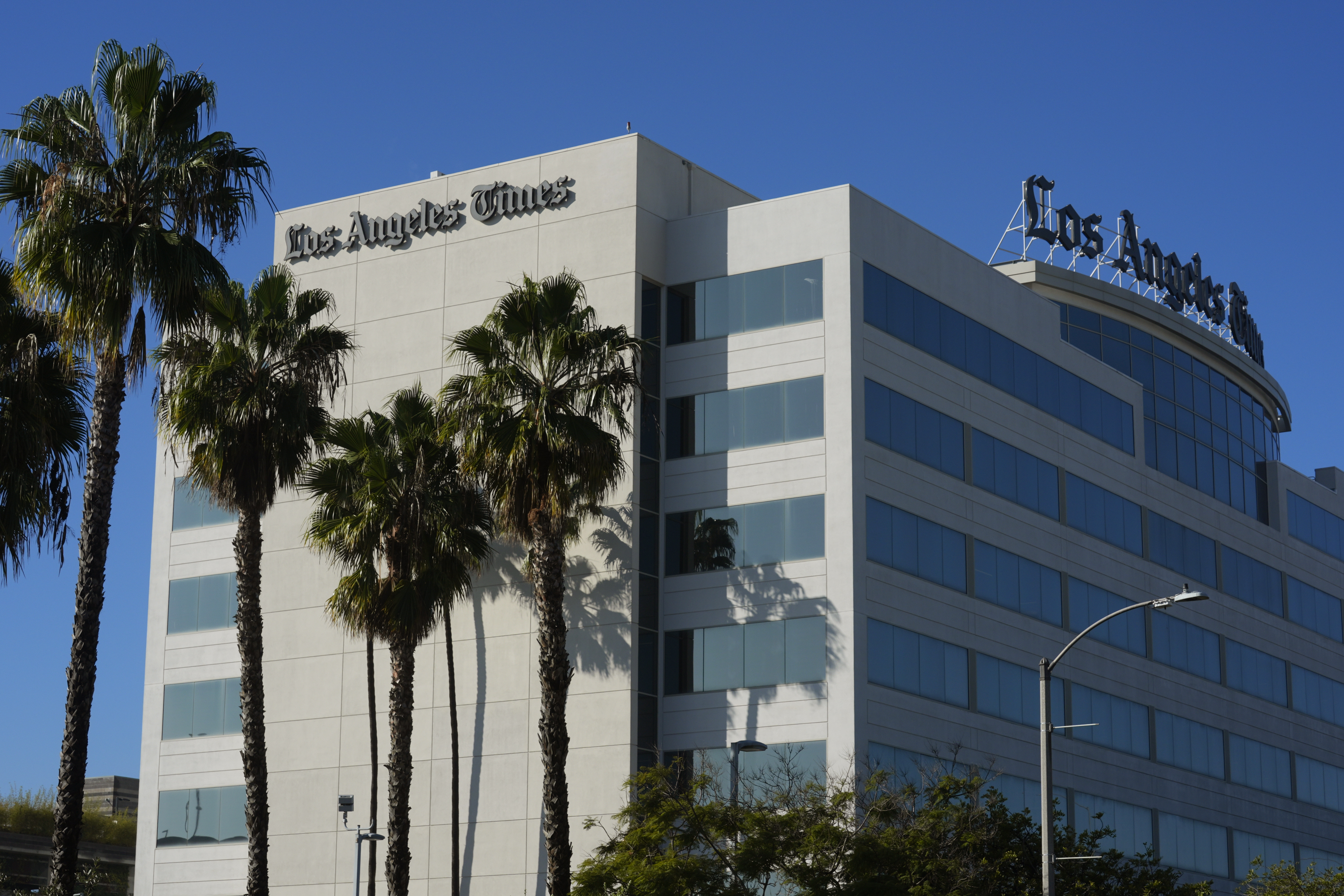 LA Times Owner's Daughter Rebukes Kamala Harris Over Gaza: 'Genocide'