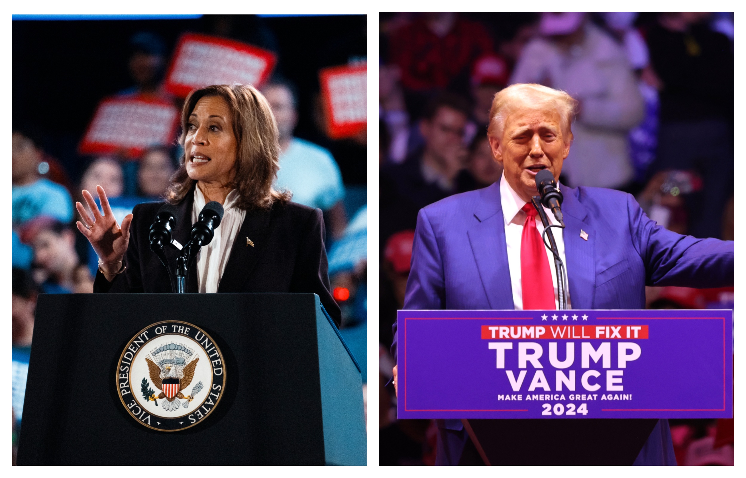 Donald Trump's MSG Rally Crowd Size Compared to Kamala Harris' Texas Event