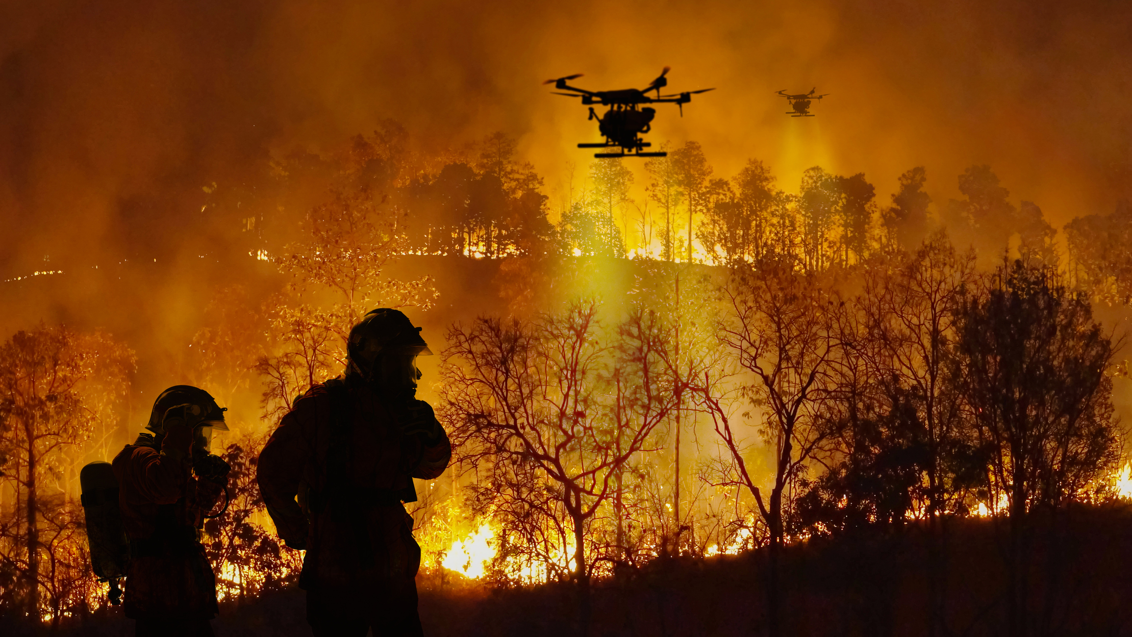 Wildfires Spew CancerCausing Chemicals, Firefighter Turned Chemist Warns Newsweek