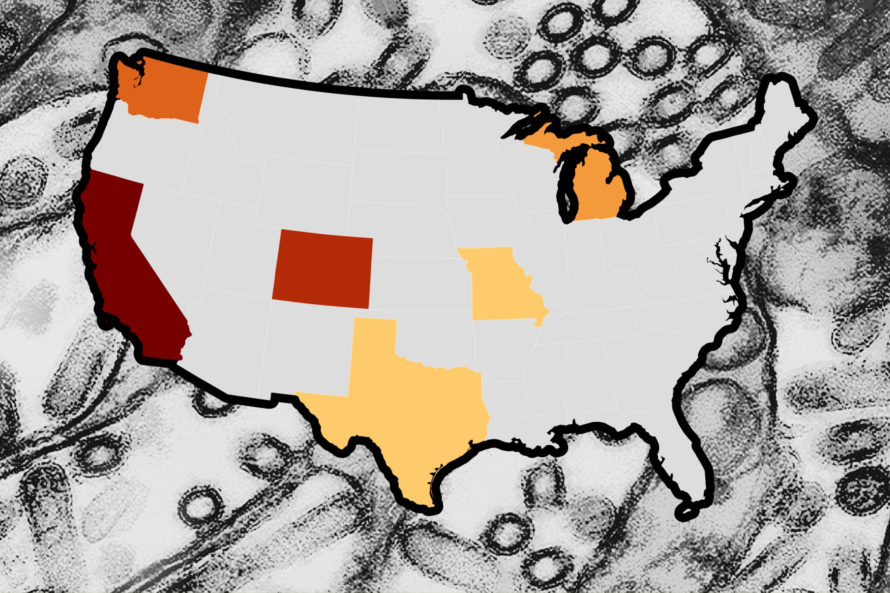 Understanding the Bird Flu Outbreak: A Map of Confirmed Human Cases in the US