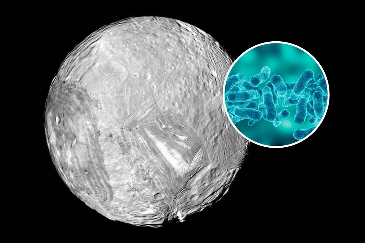 uranus moon miranda