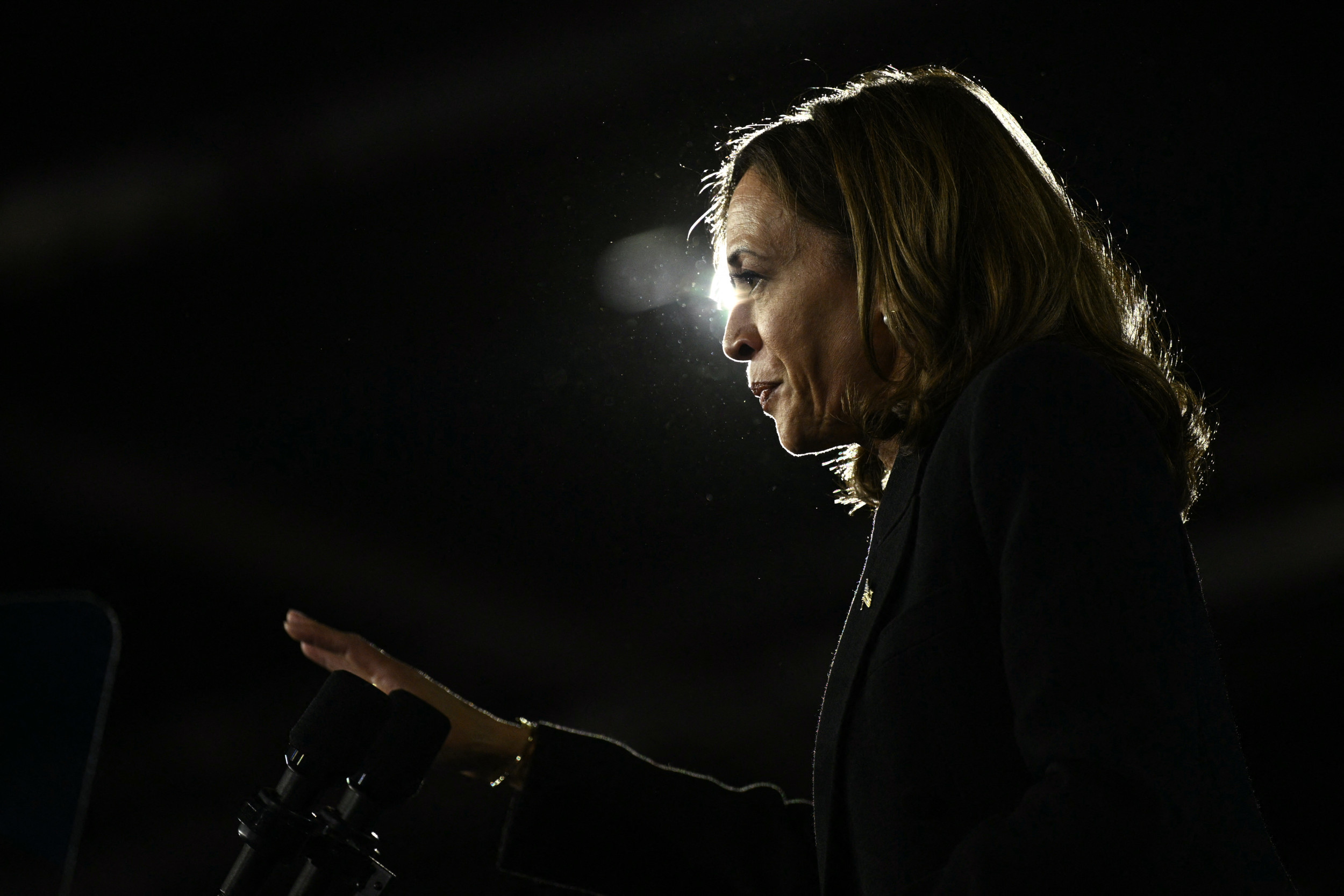 Joe Biden 'garbage' comment may cost Kamala Harris: Frank Luntz