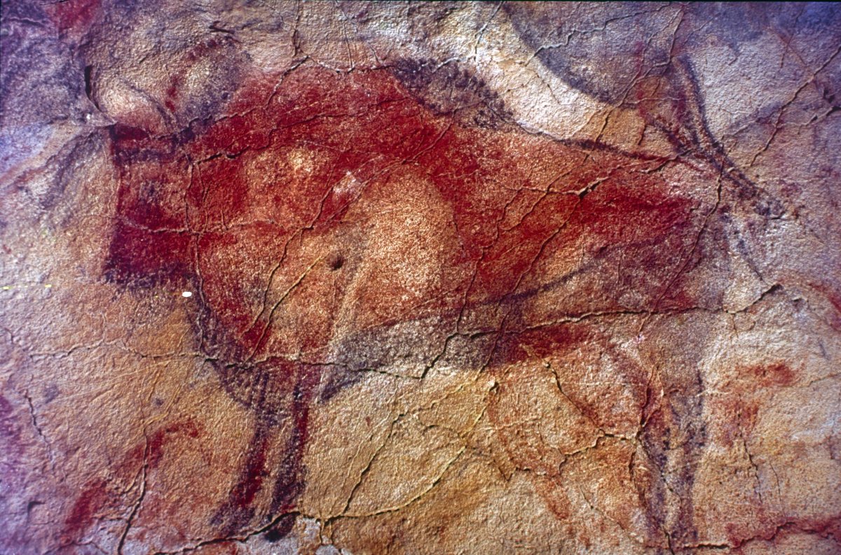 Aurochs Altamira Cave 