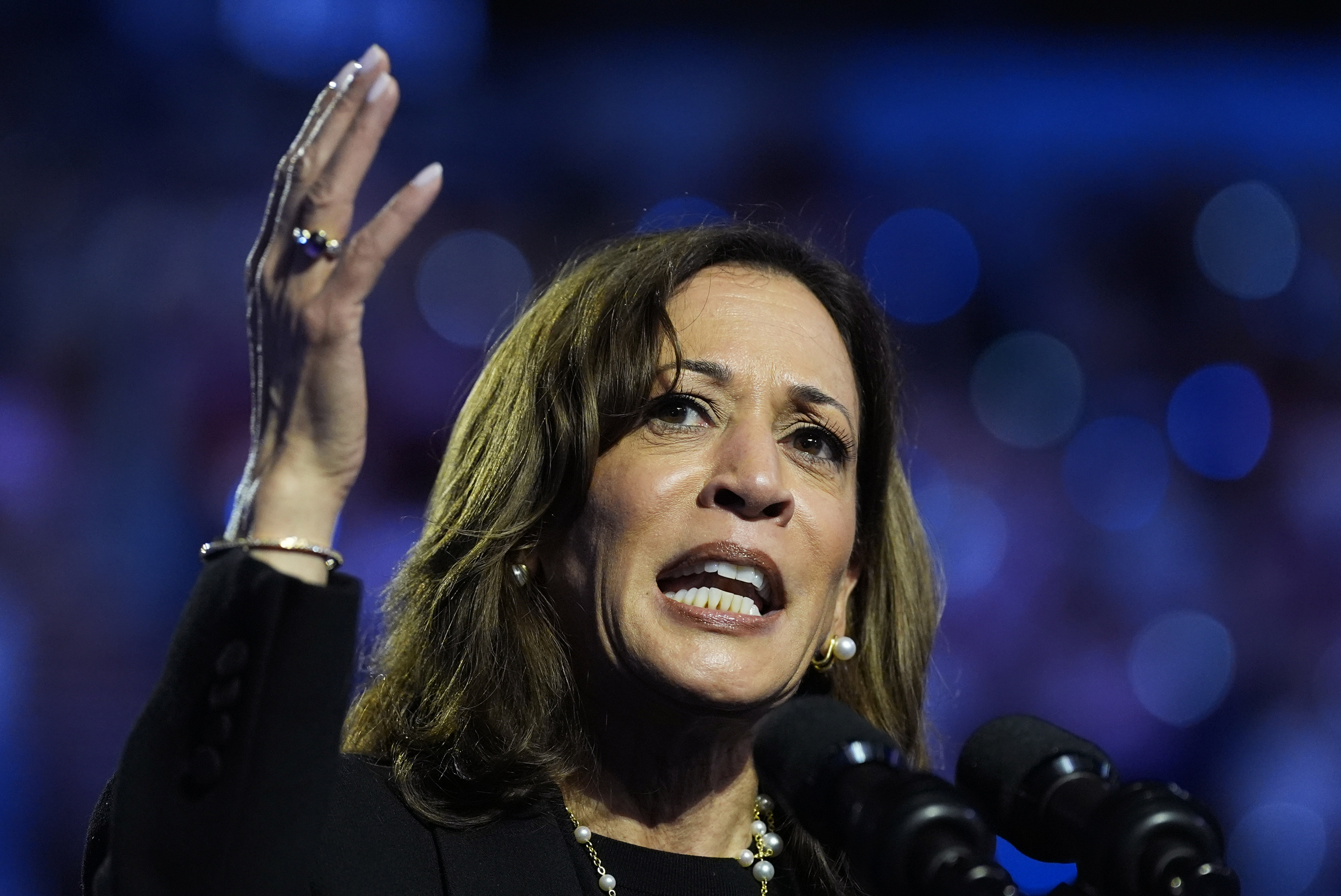 Kamala Harris Gets Good News in Final Rust Belt Polls