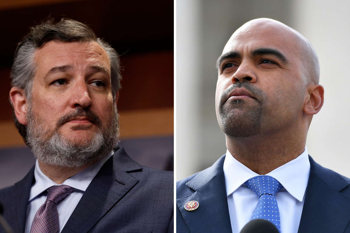 ted cruz colin allred who's winning polls