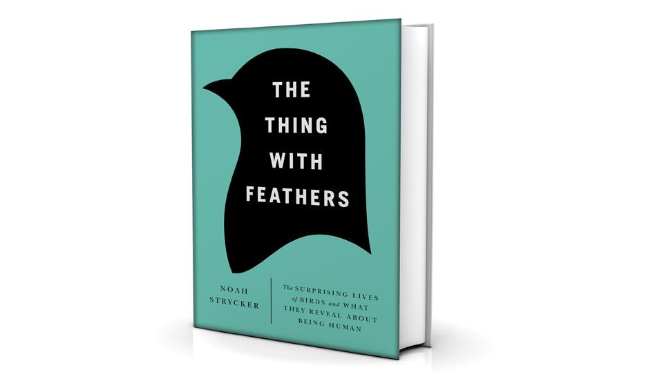 the thing with feathers by noah strycker