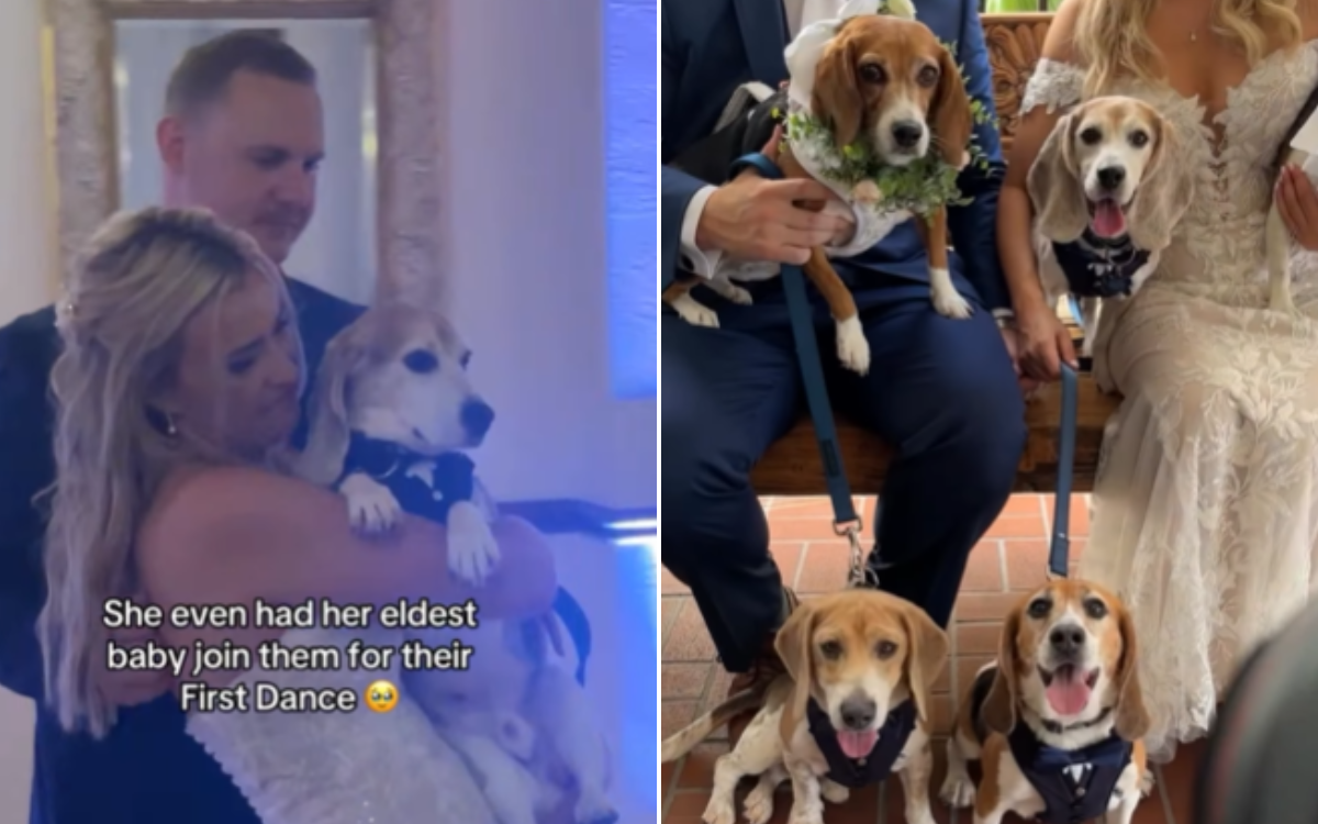 One dog joined in the first dance.